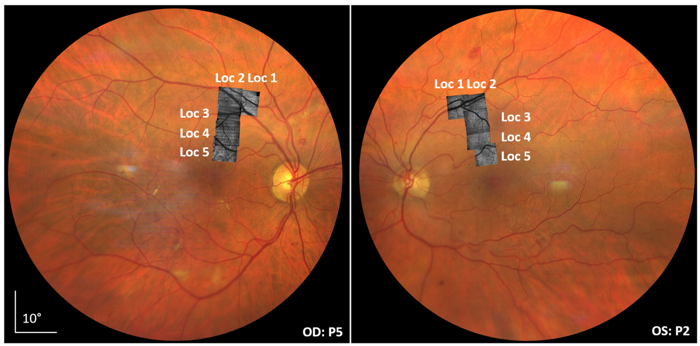 Diagnostics 15 00429 g001