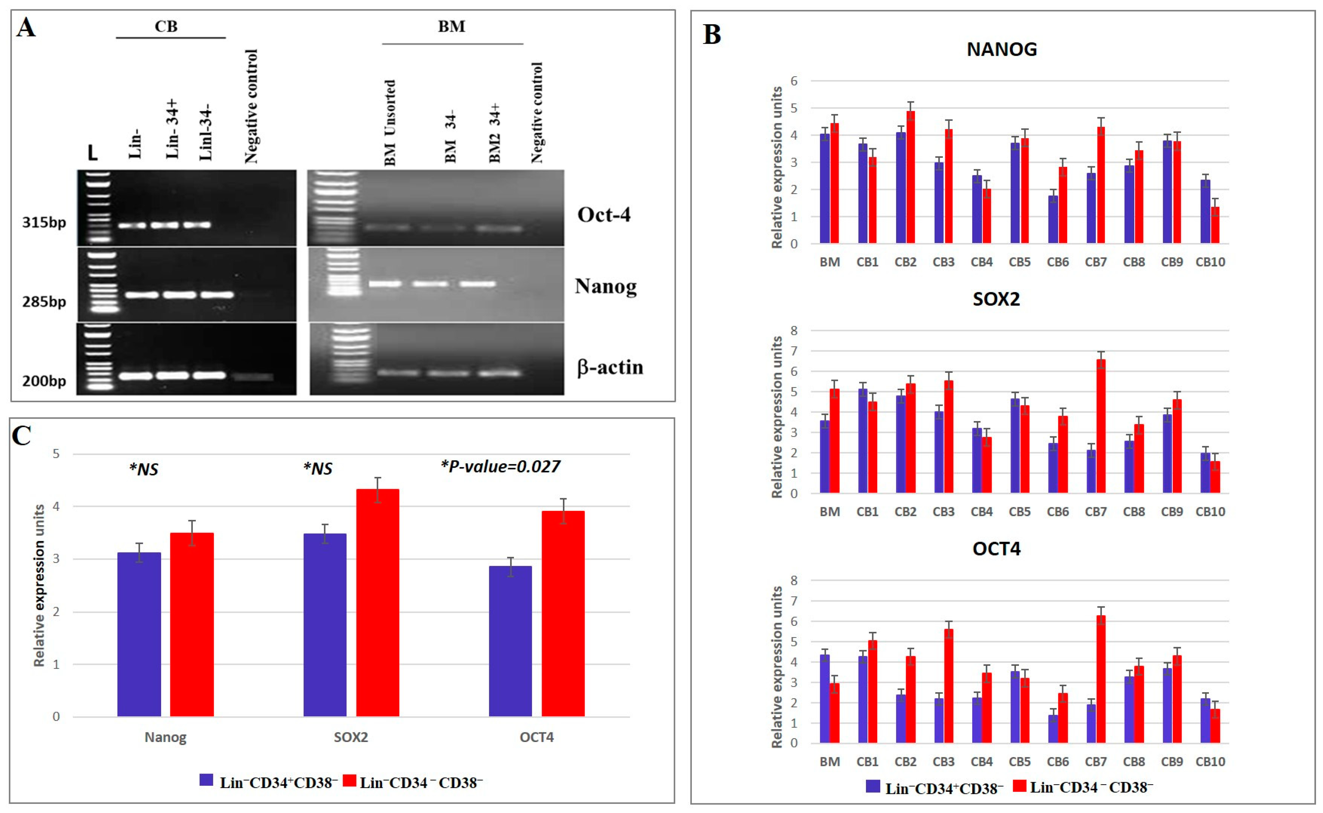Diagnostics 15 00447 g004