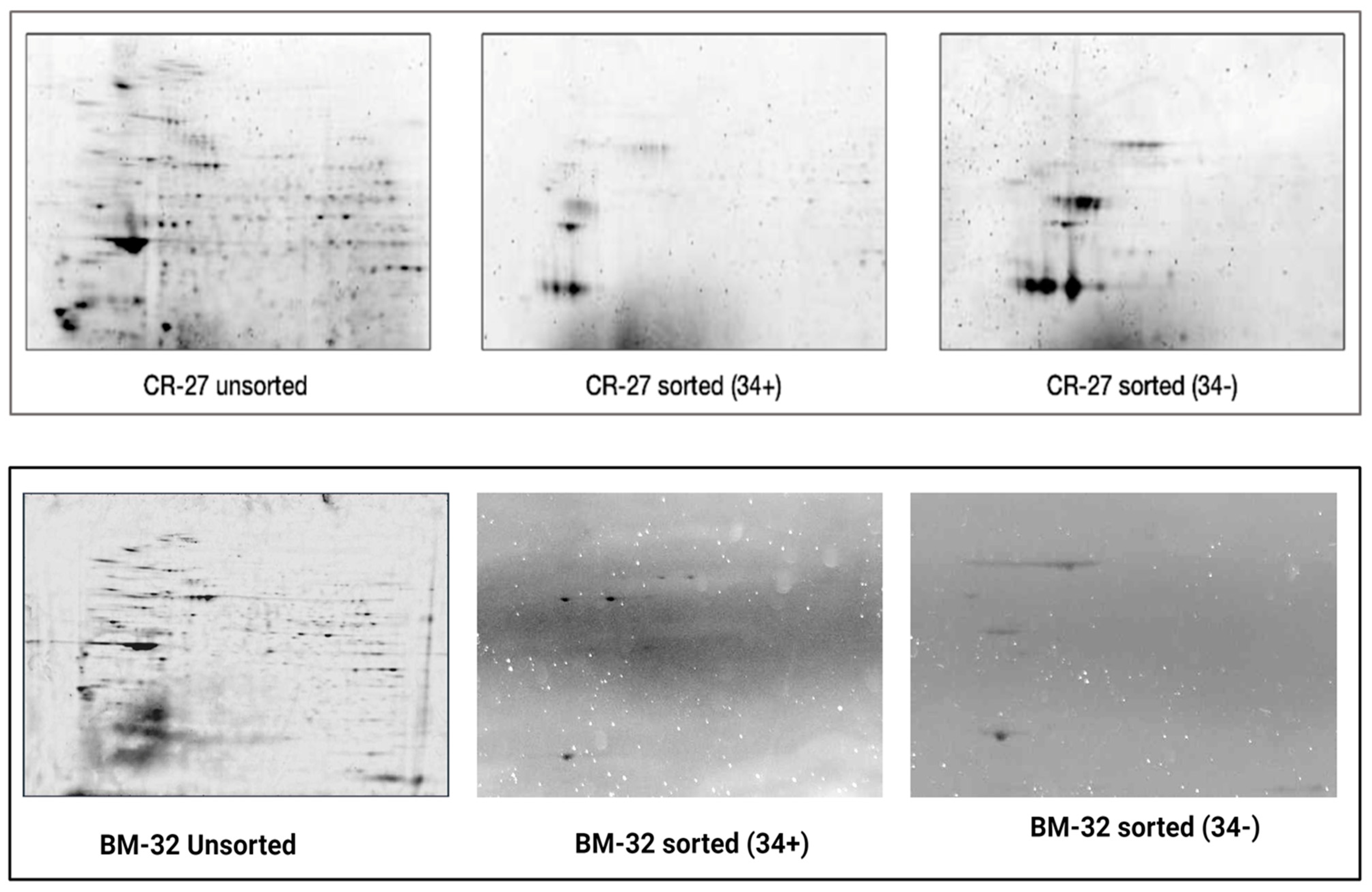 Diagnostics 15 00447 g005