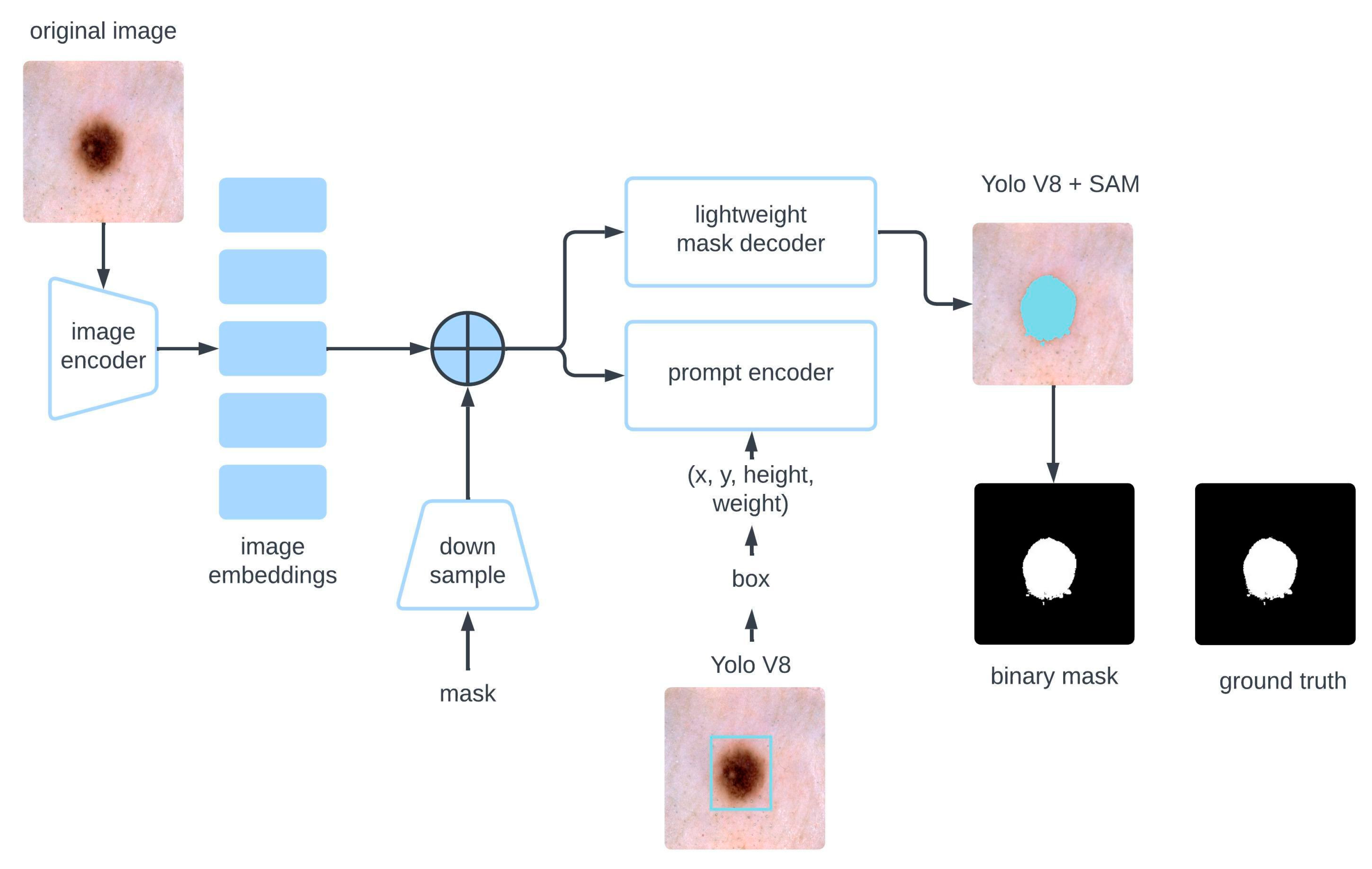 Diagnostics 15 00479 g003