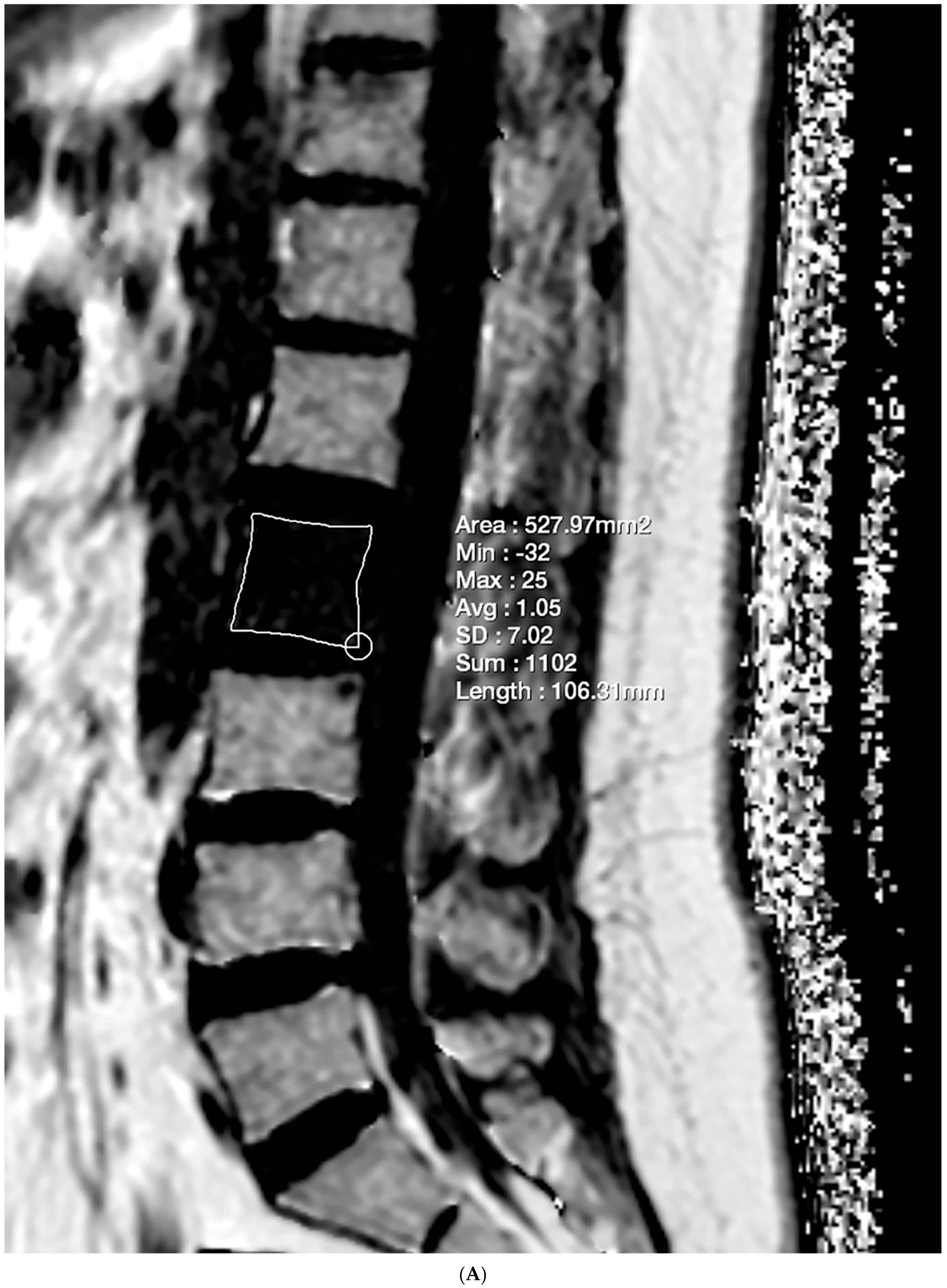 Diagnostics 15 00503 g002a