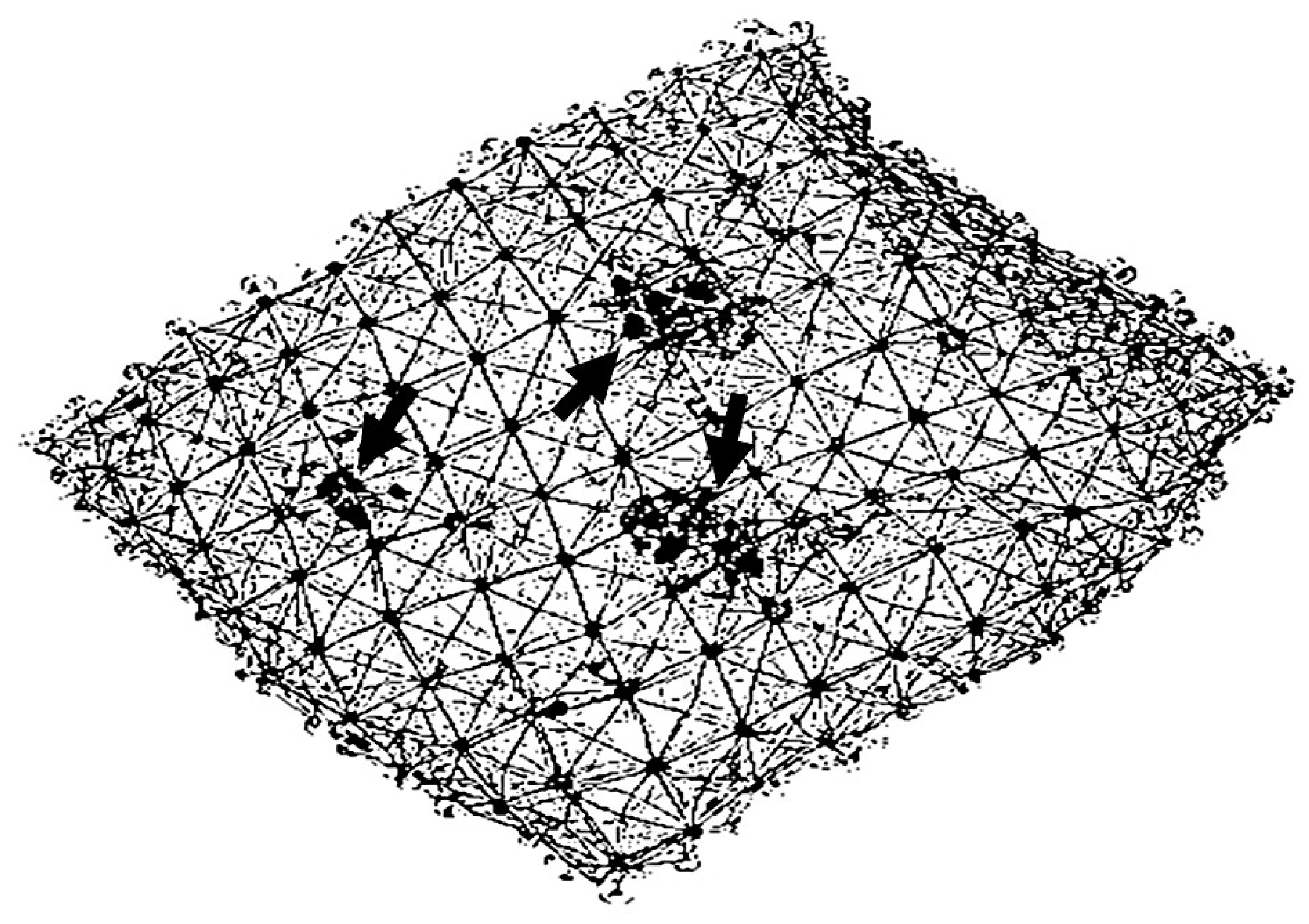 Diagnostics 15 00578 g002 Diagnostics 15 00578 g002