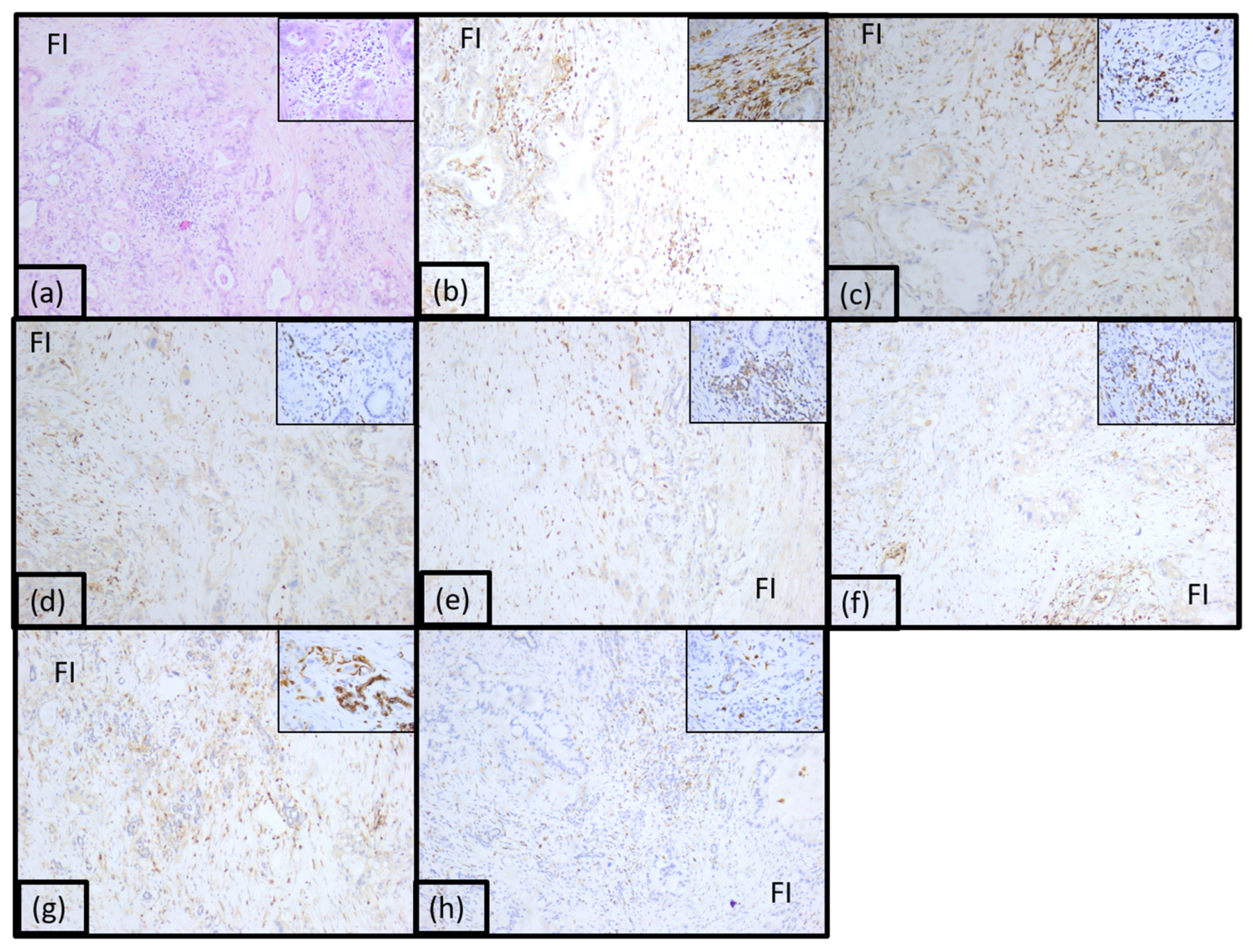 Diagnostics 15 00646 g003