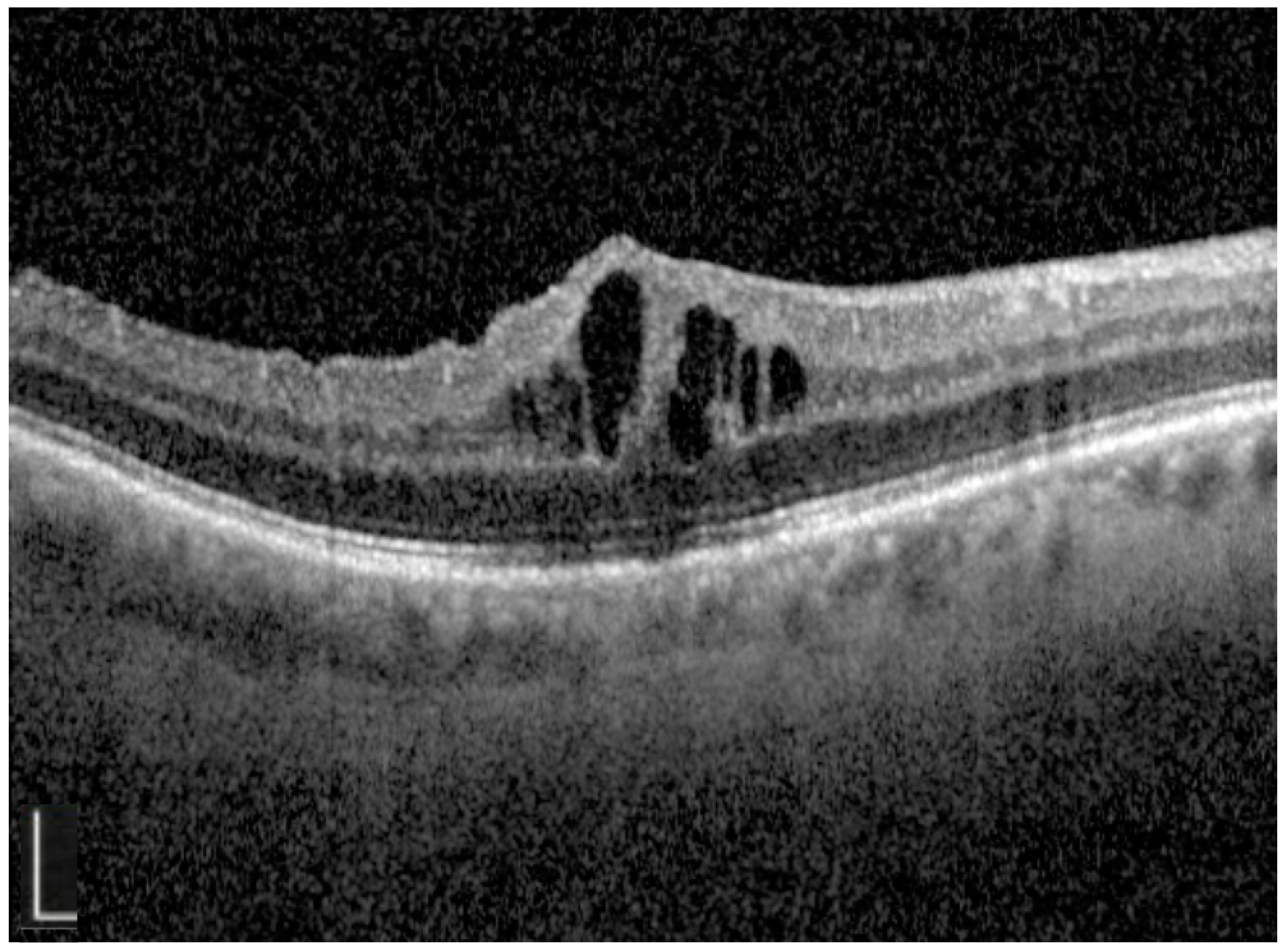 Diagnostics 15 00667 g002