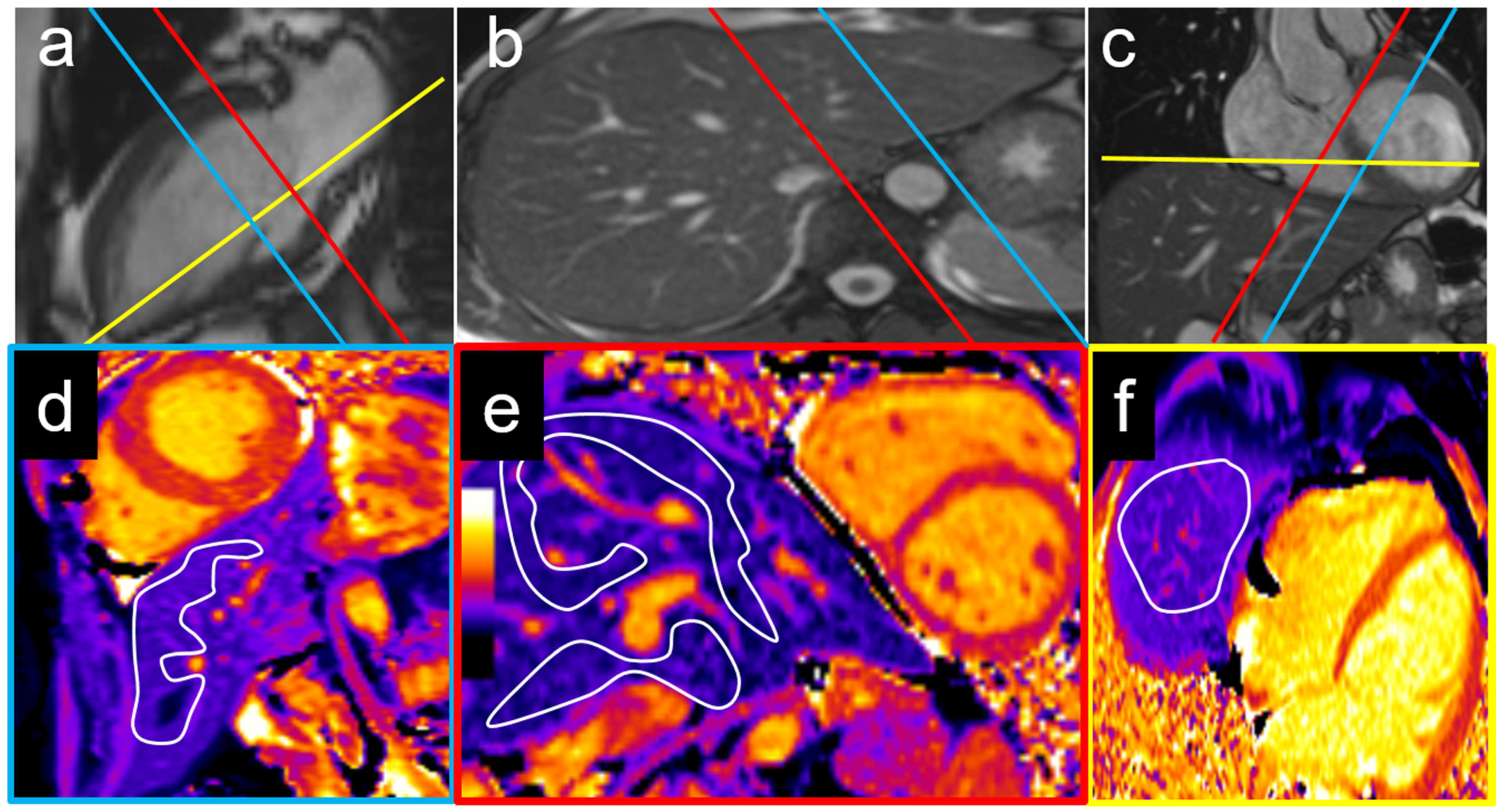 Diagnostics 15 00779 g001