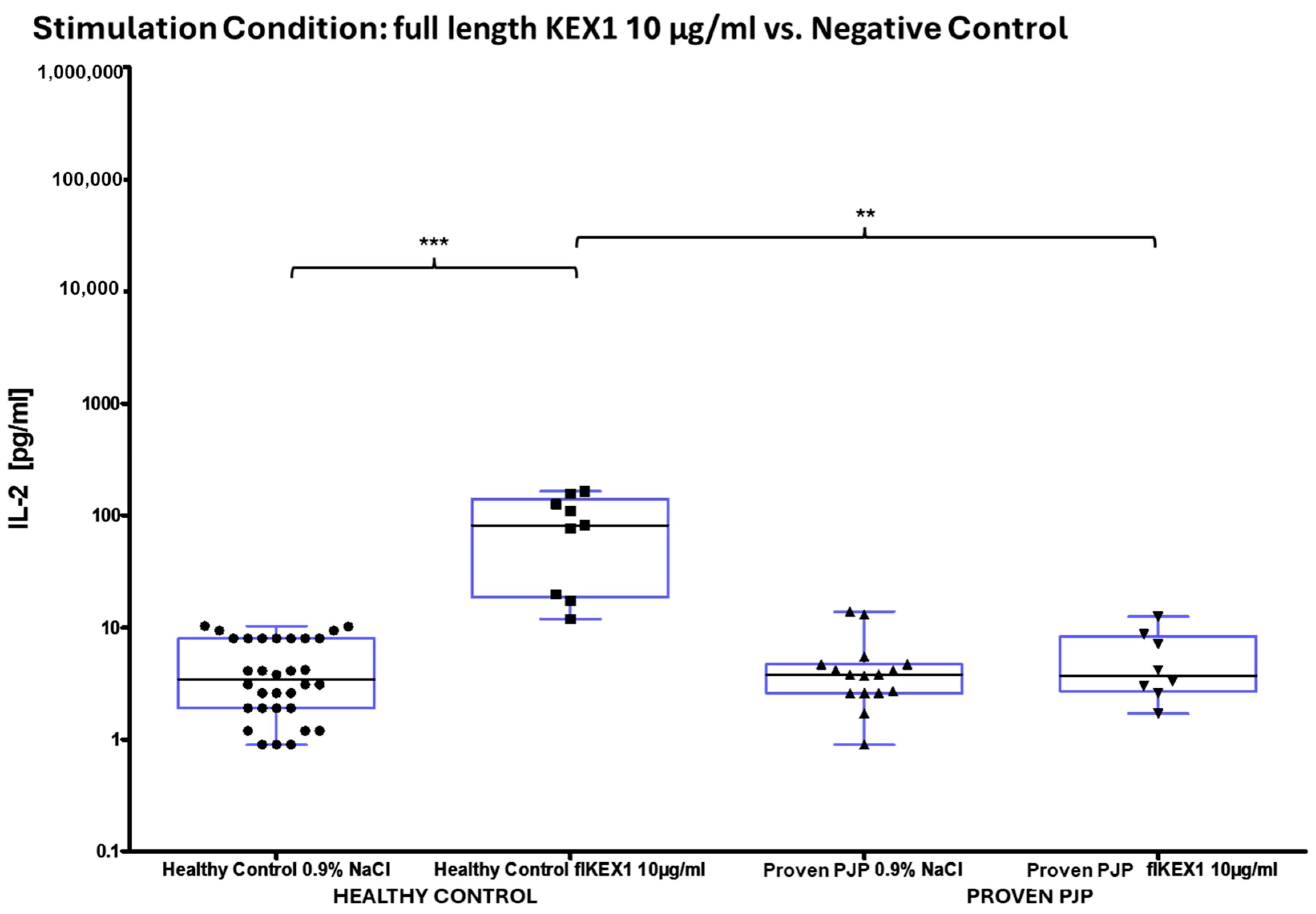 Diagnostics 15 00793 g005