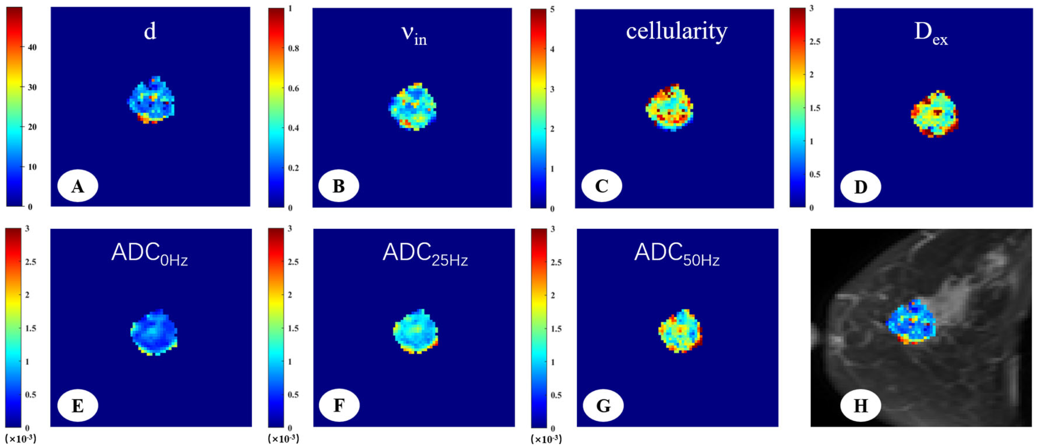 Diagnostics 15 00823 g002