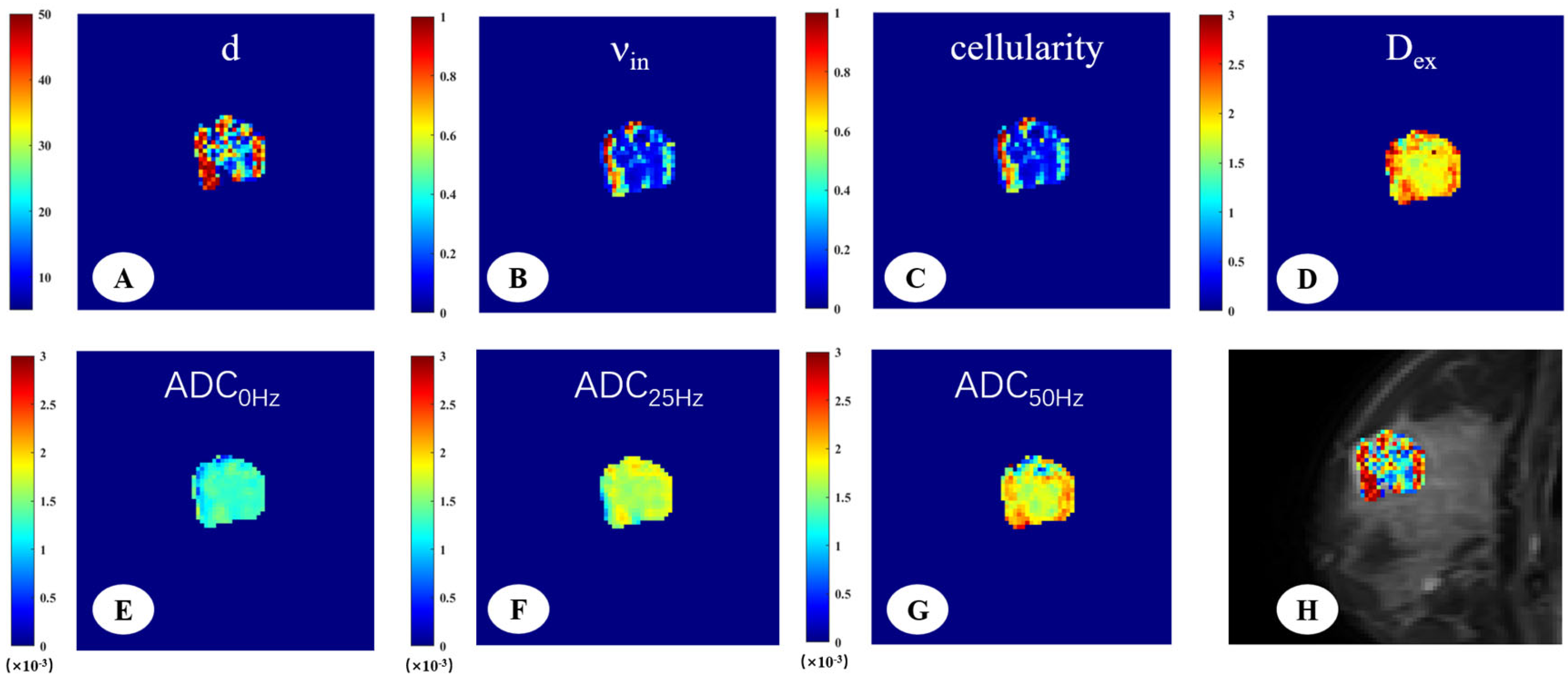 Diagnostics 15 00823 g003