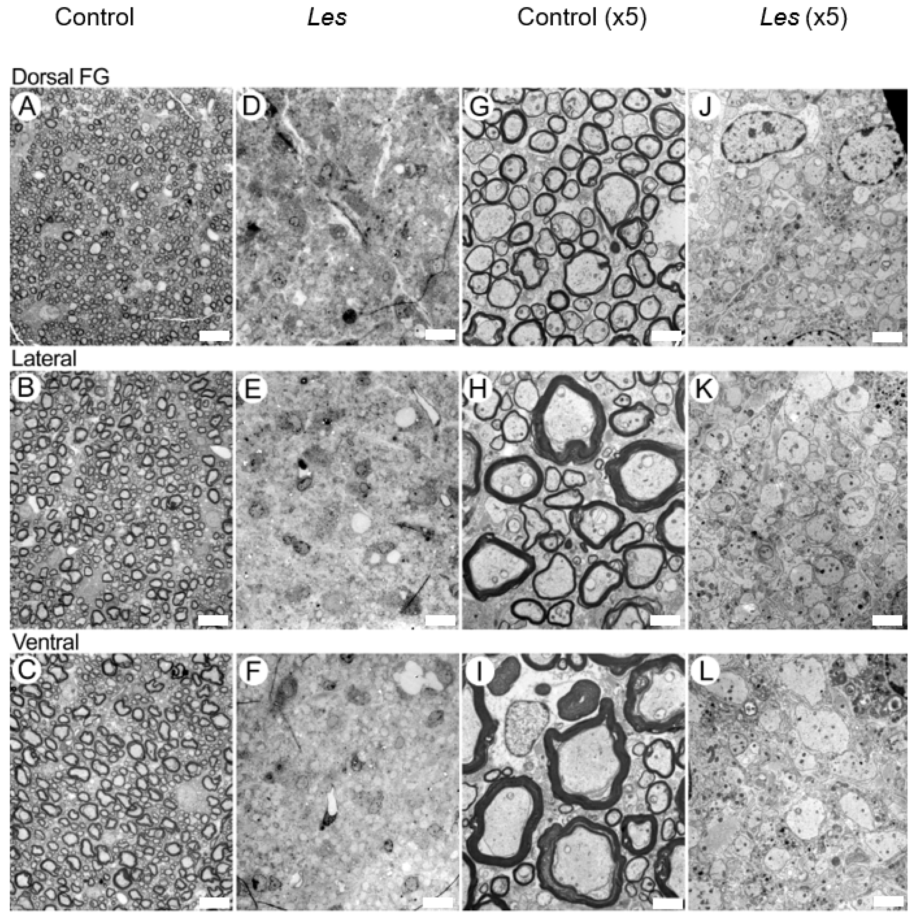 Diagnostics 15 00837 g006