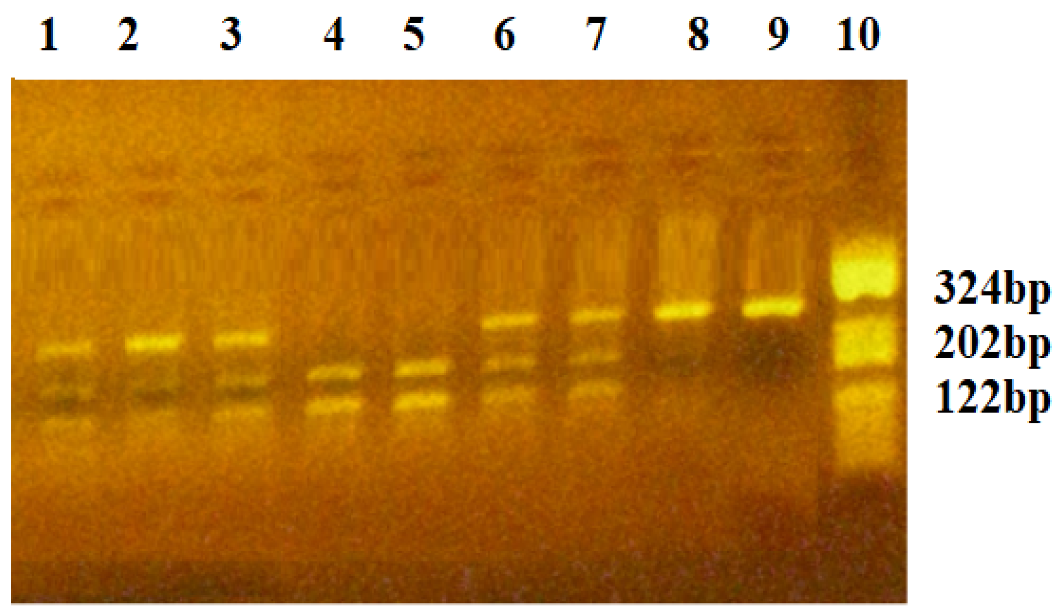 Diagnostics 15 00868 g003