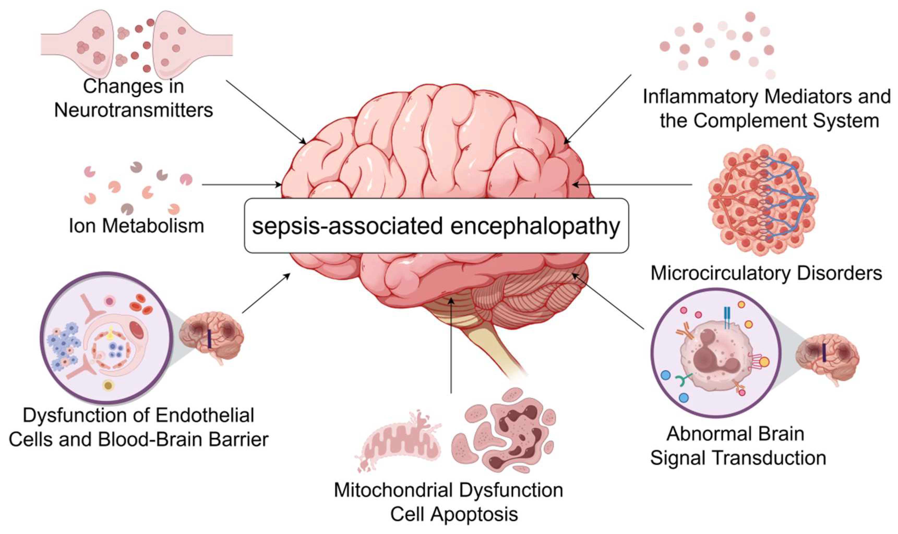 Diagnostics 15 00873 g001