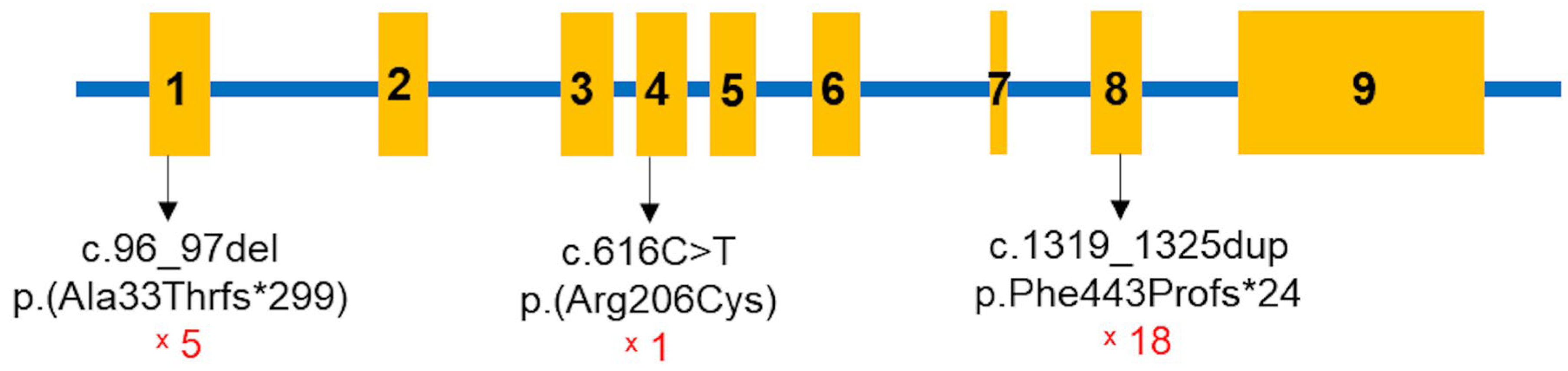 Diagnostics 15 00918 g003