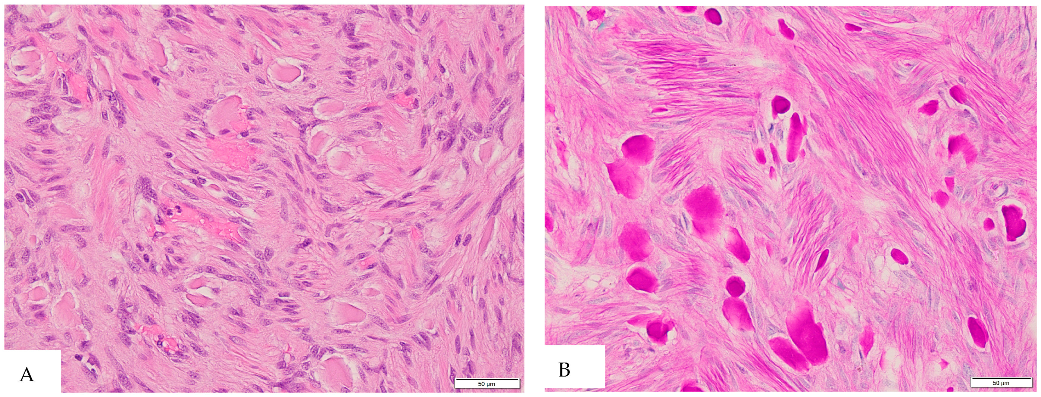 Diagnostics 15 00924 g002