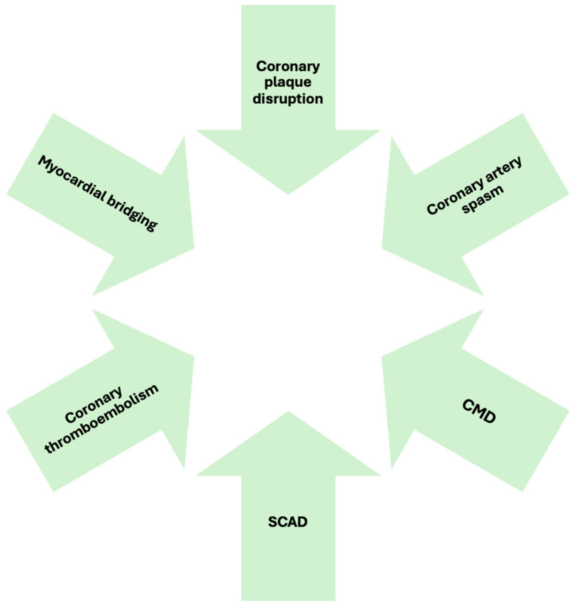 Diagnostics 15 00942 g001