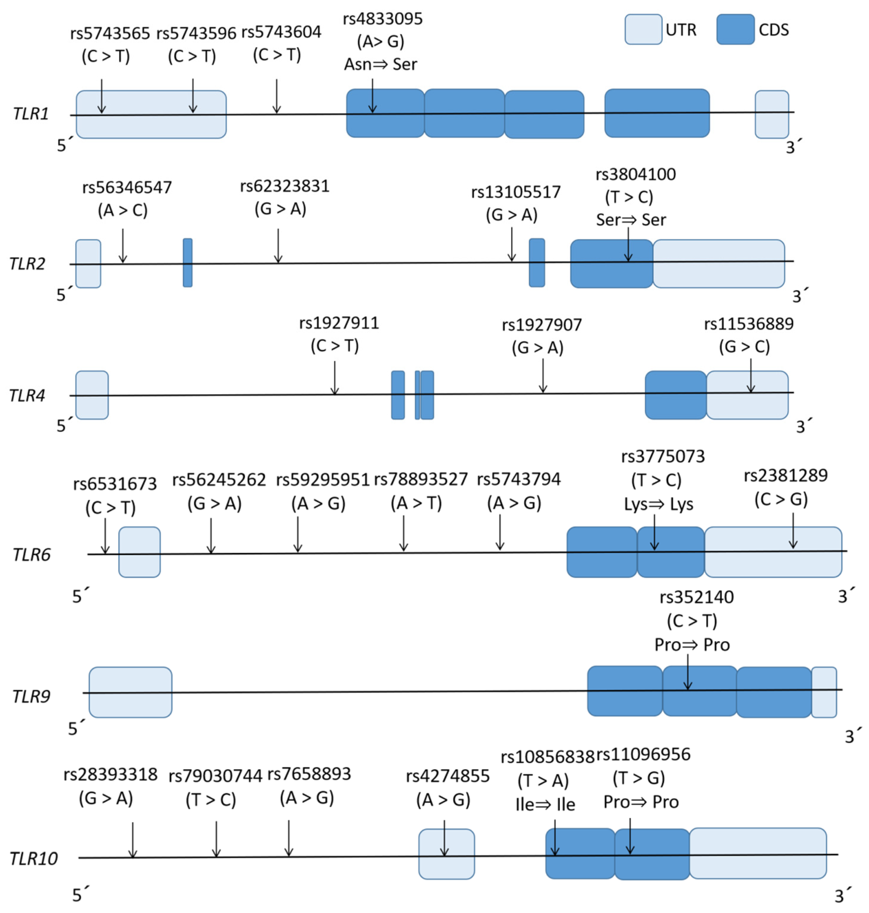 Diagnostics 15 00971 g002 Diagnostics 15 00971 g002