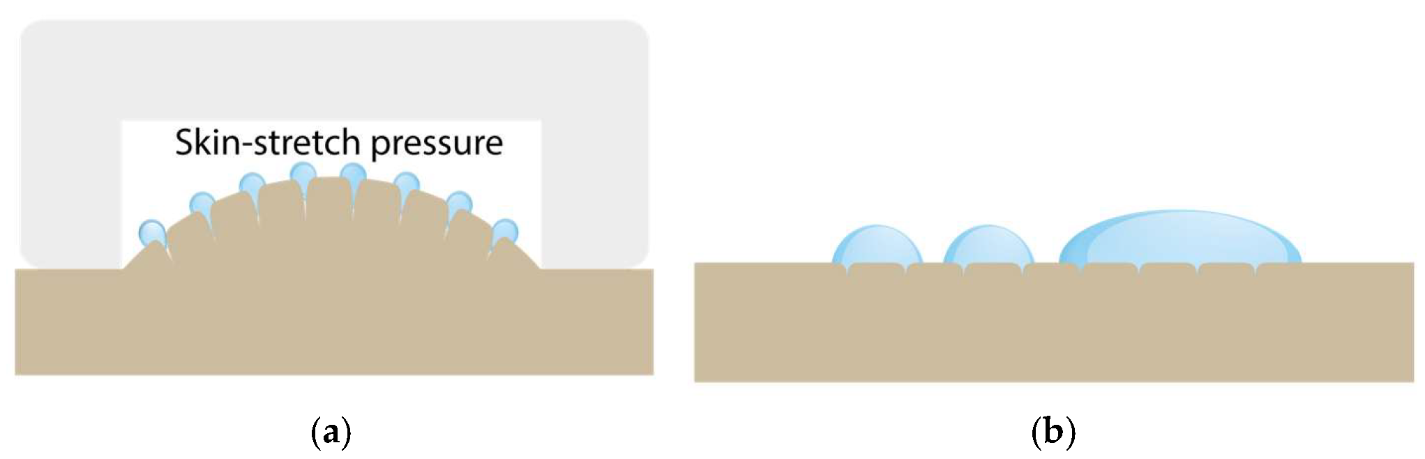 Diagnostics 15 00989 g004