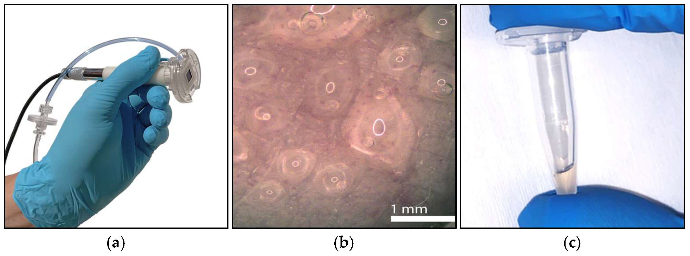 Diagnostics 15 00989 g013