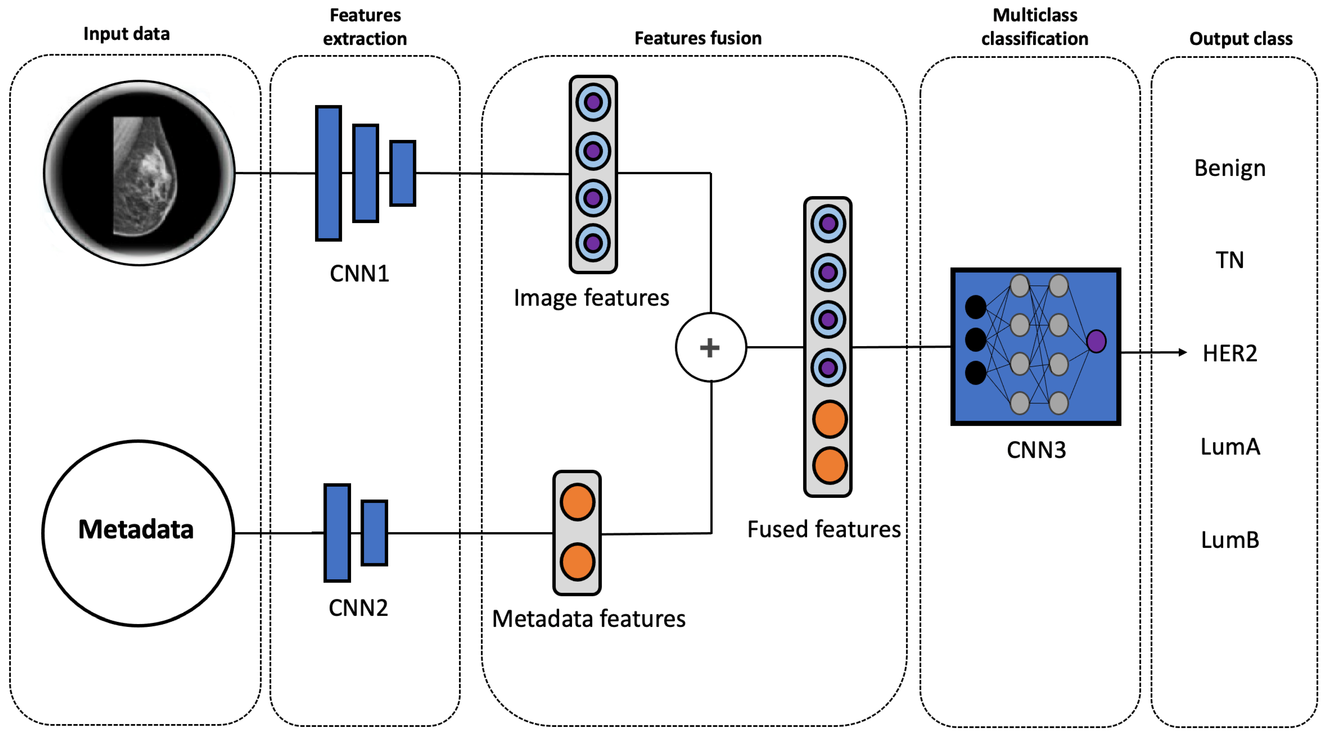 Diagnostics 15 00995 g005