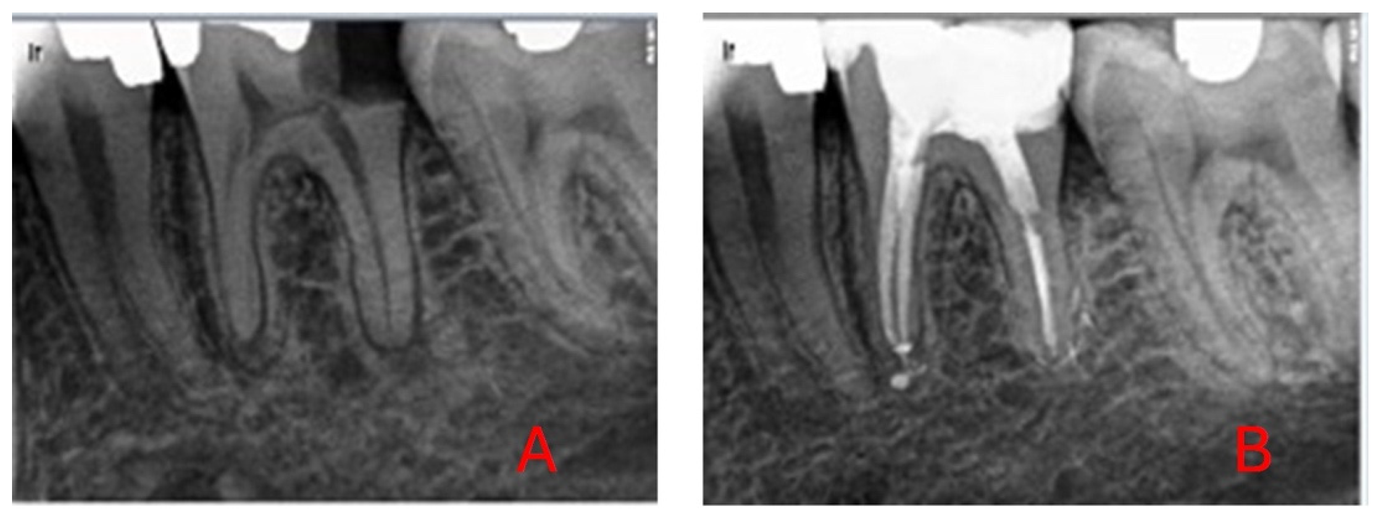 Diagnostics 15 01009 g001