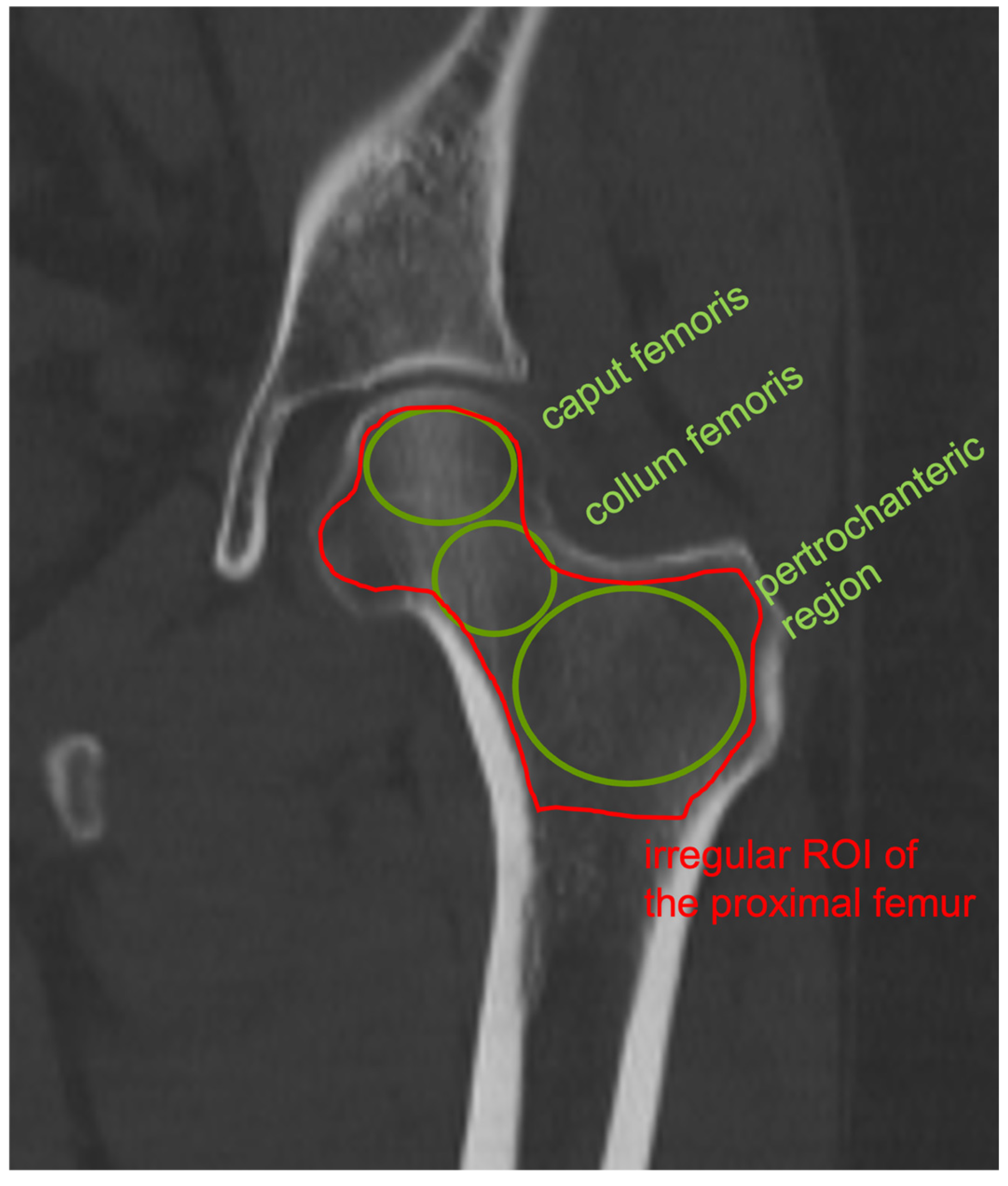 Diagnostics 15 01014 g001