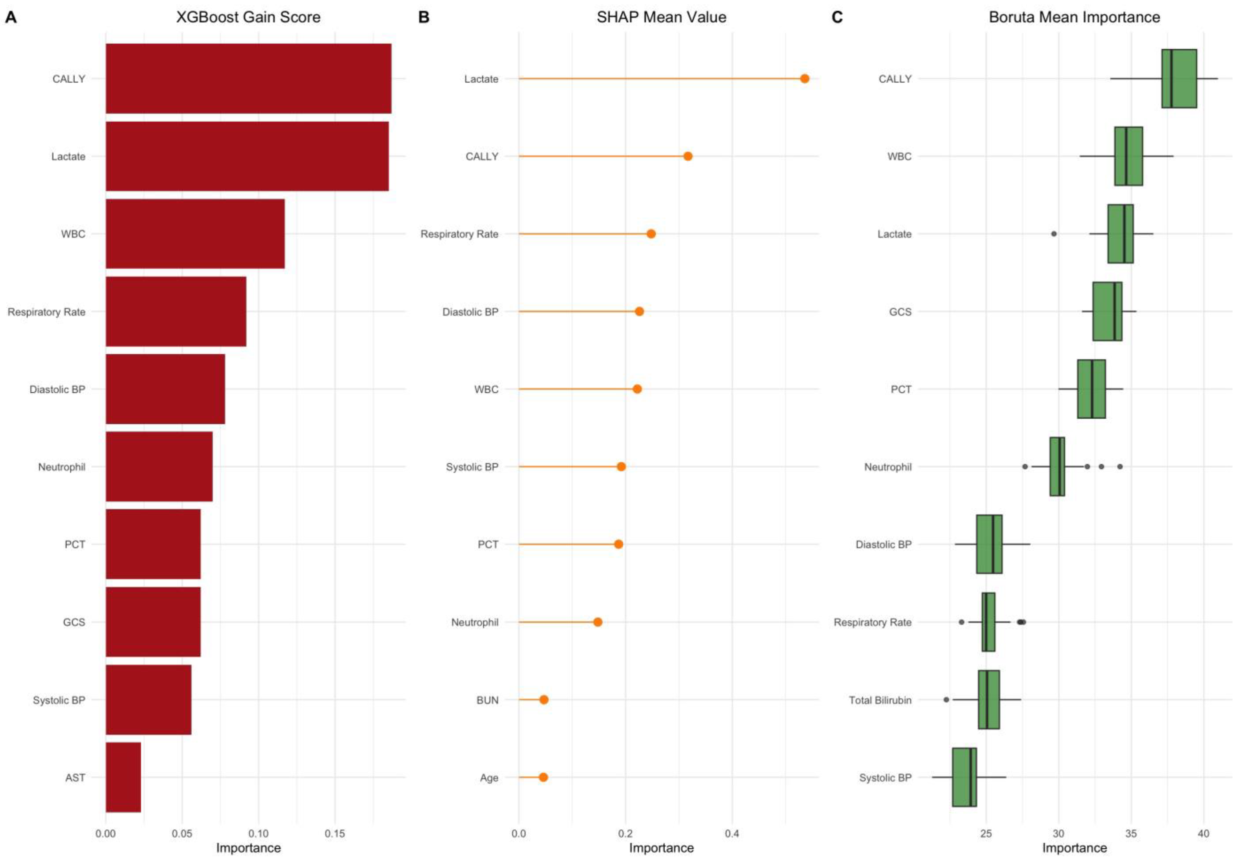 Diagnostics 15 01026 g002