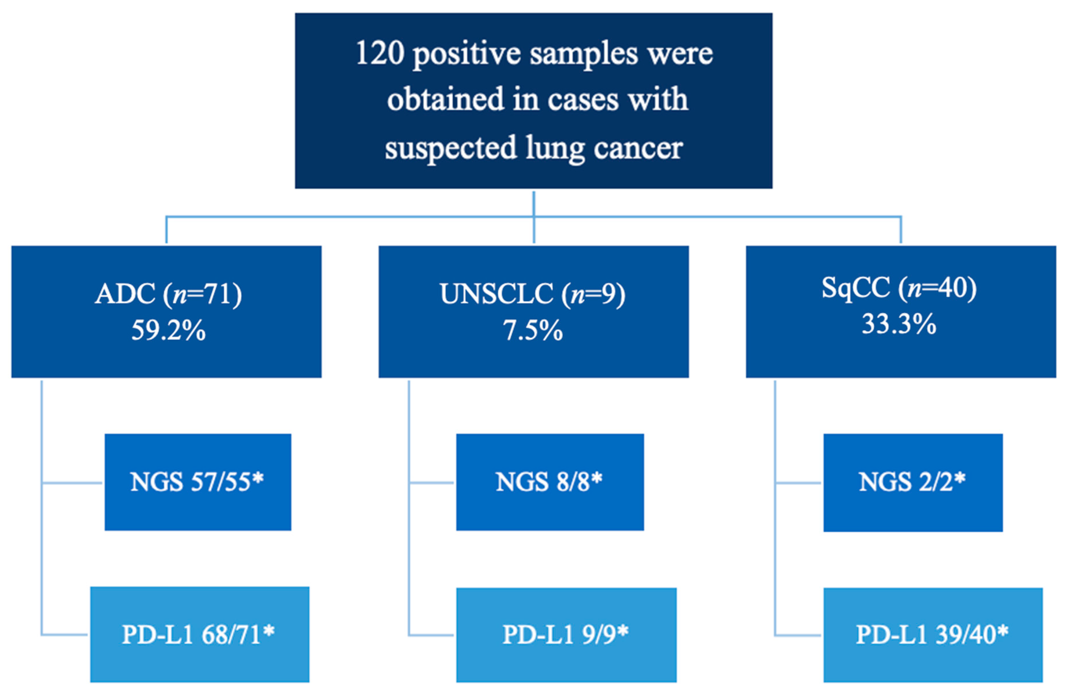 Diagnostics 15 01064 g001