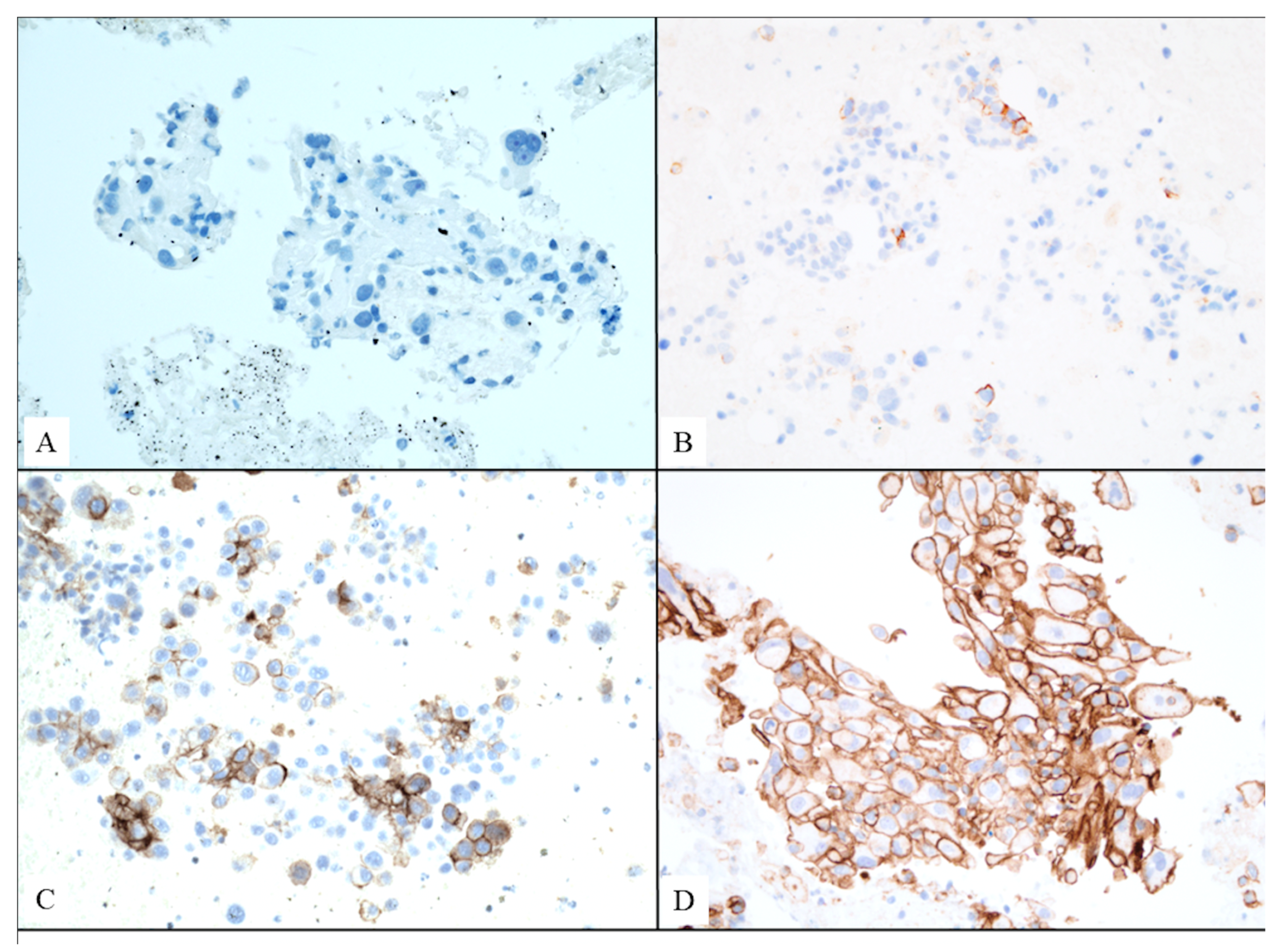 Diagnostics 15 01064 g002