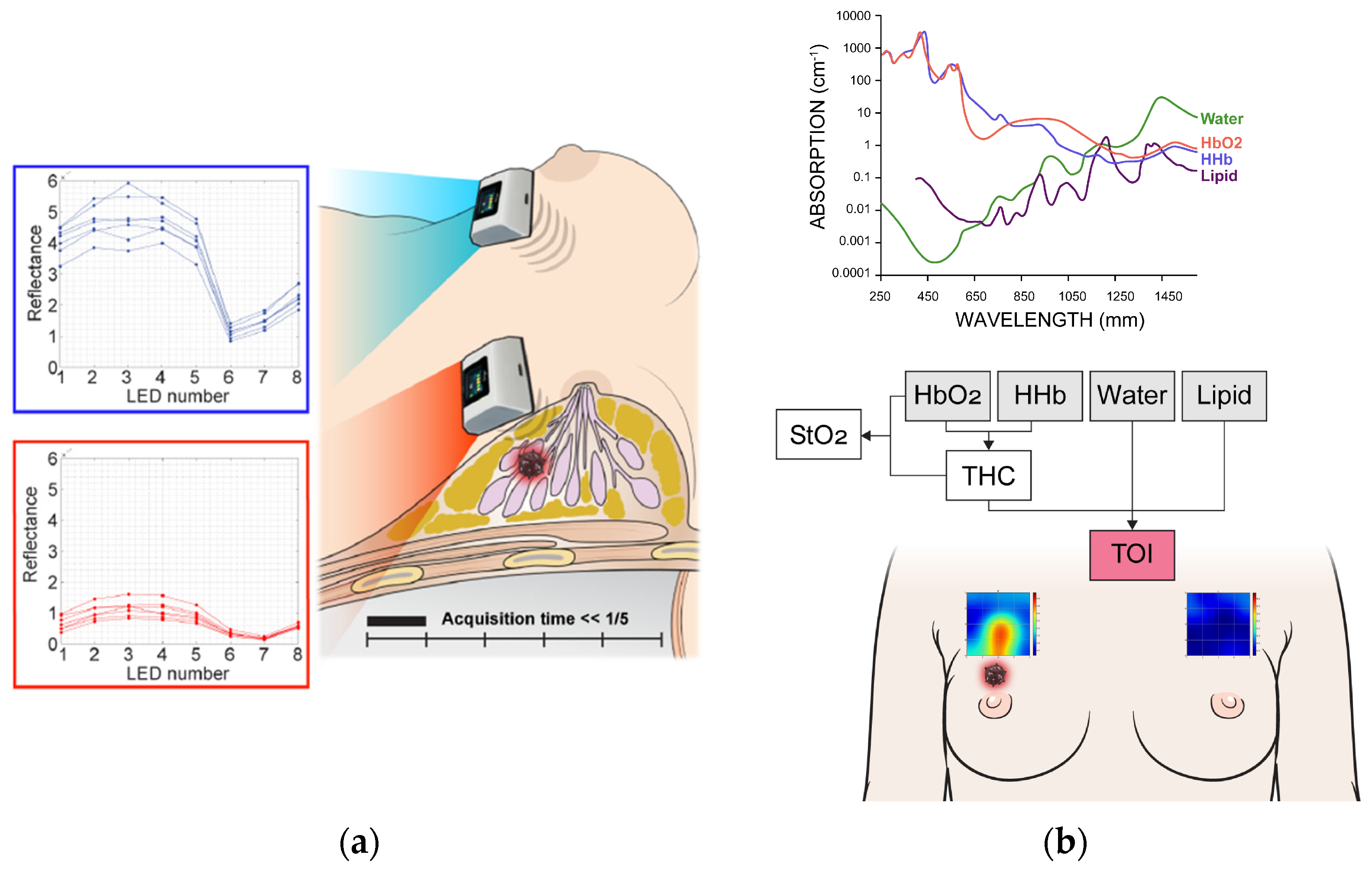 Diagnostics 15 01067 g002
