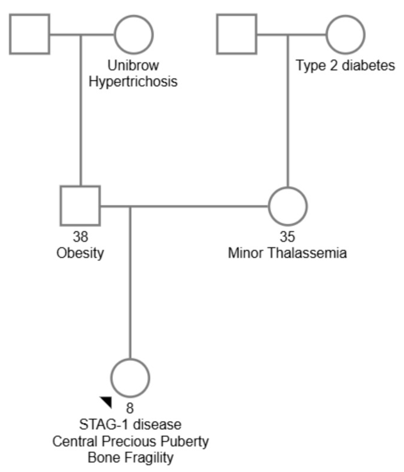 Diagnostics 15 01076 g001