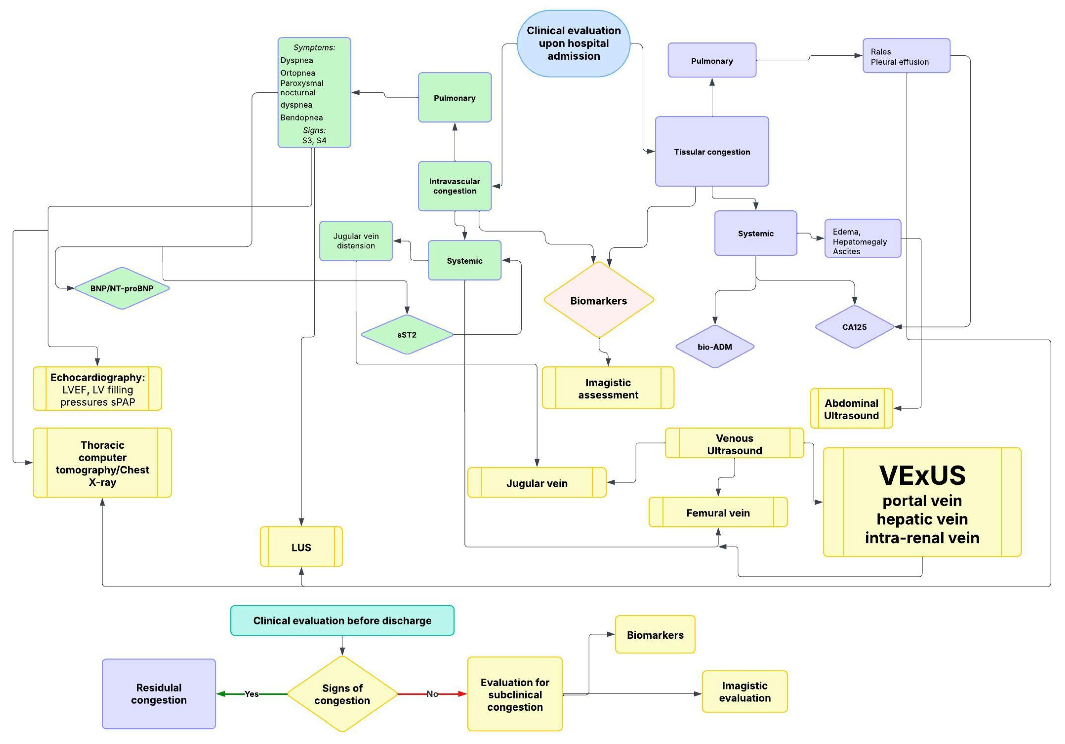 Diagnostics 15 01083 g002
