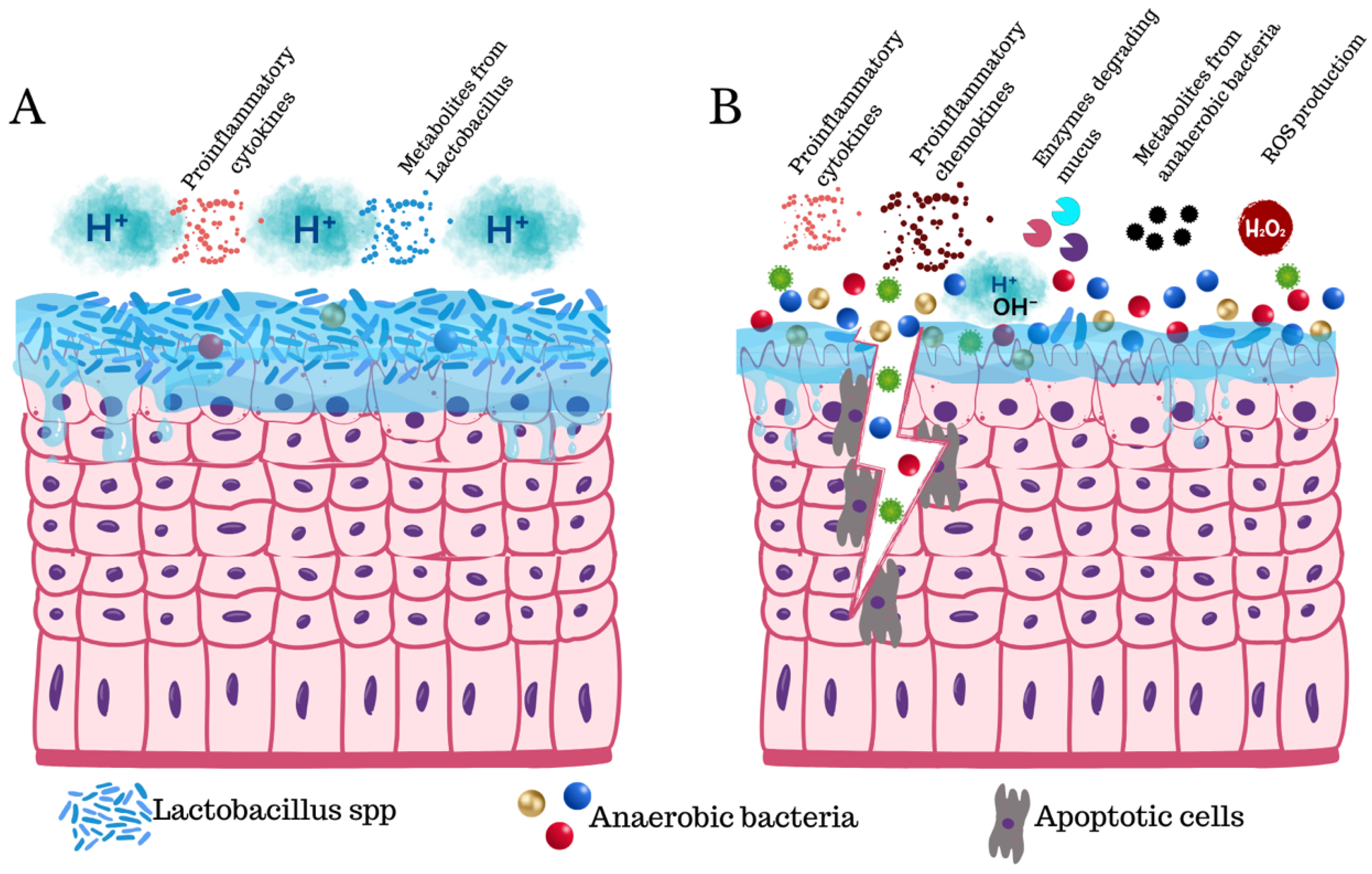 Diagnostics 15 01090 g002