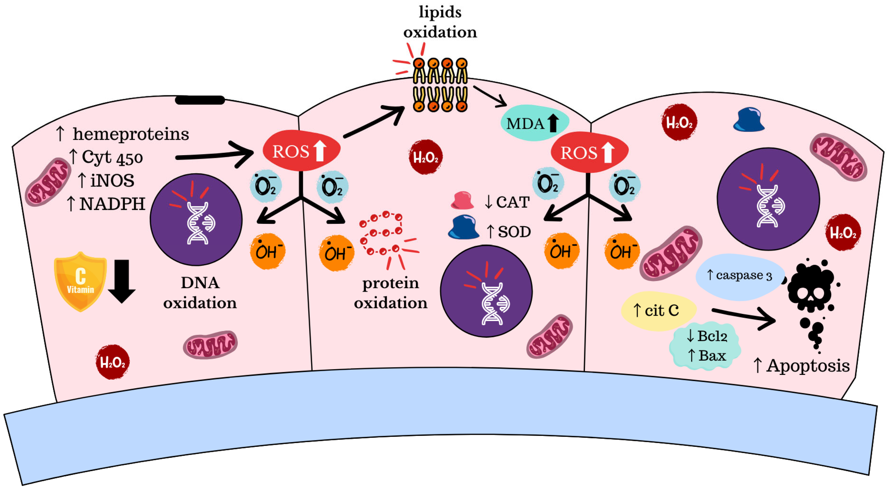 Diagnostics 15 01090 g003