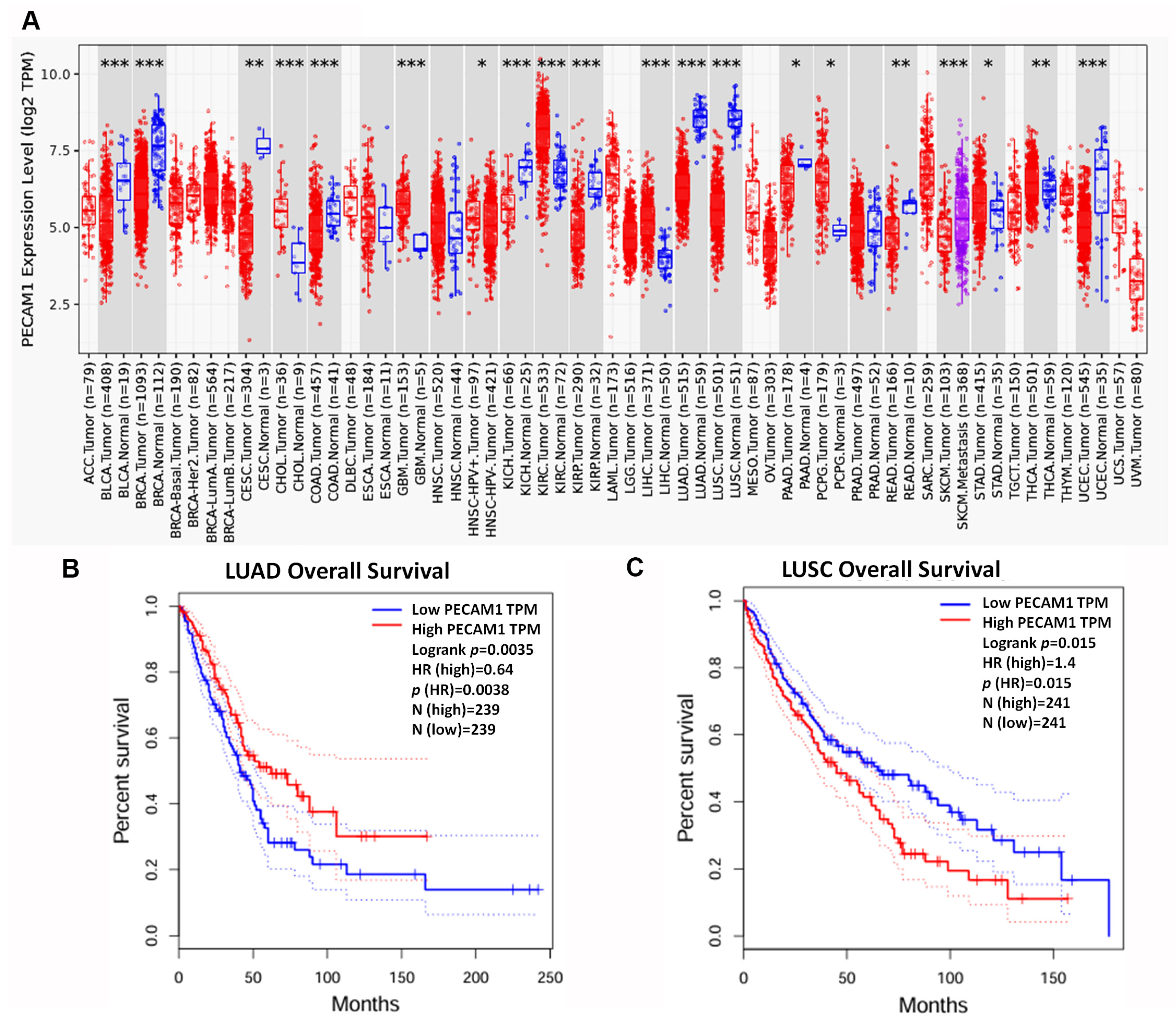 Diagnostics 15 01094 g009