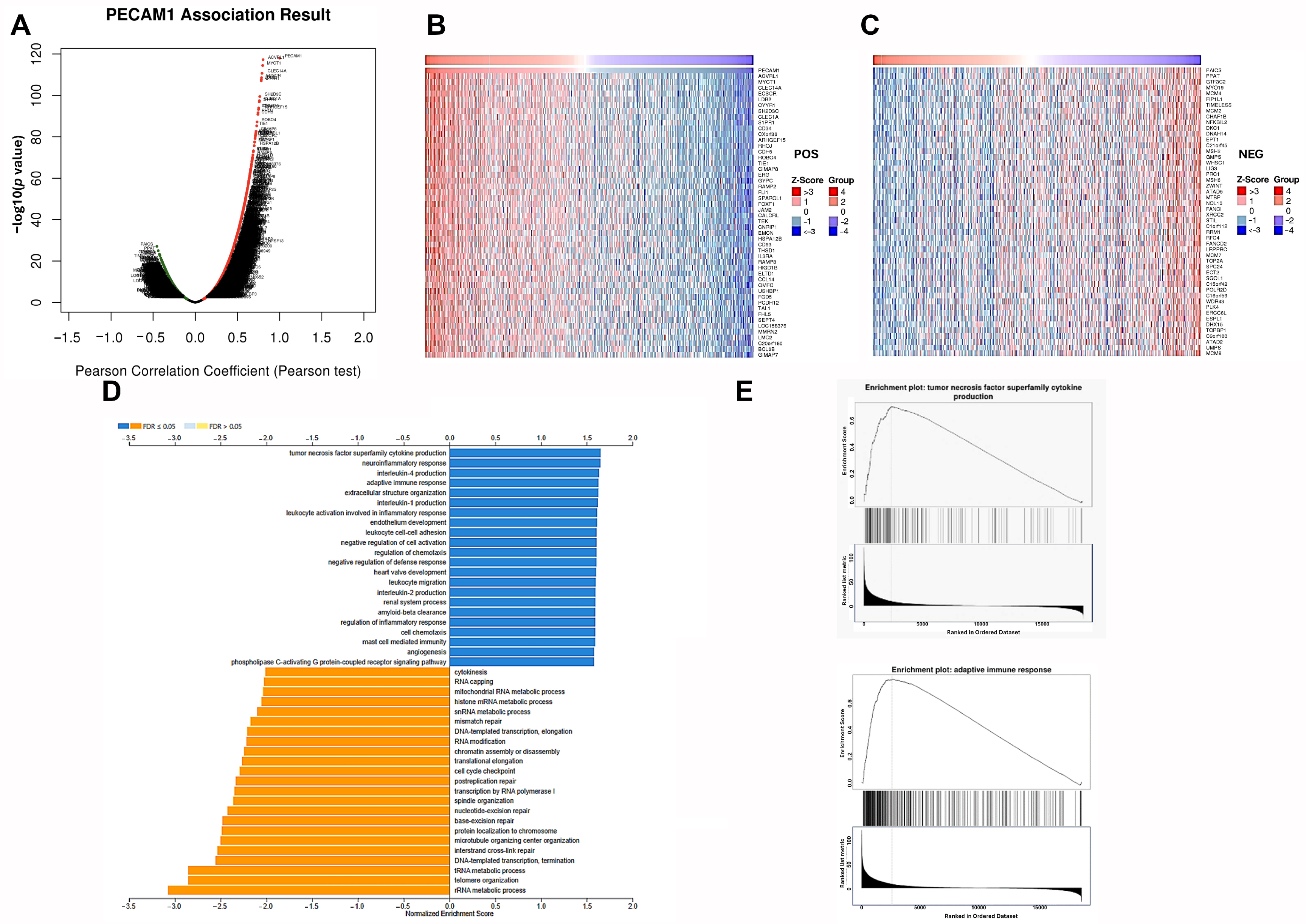 Diagnostics 15 01094 g010