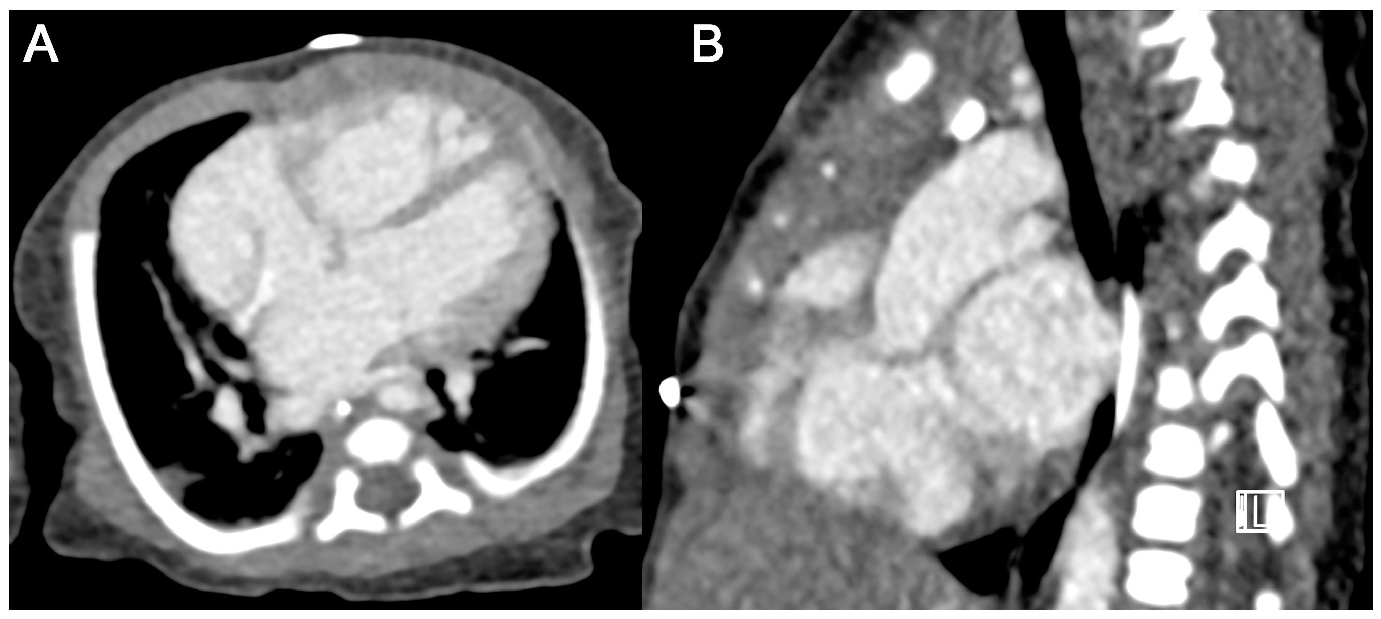Diagnostics 15 01103 g005
