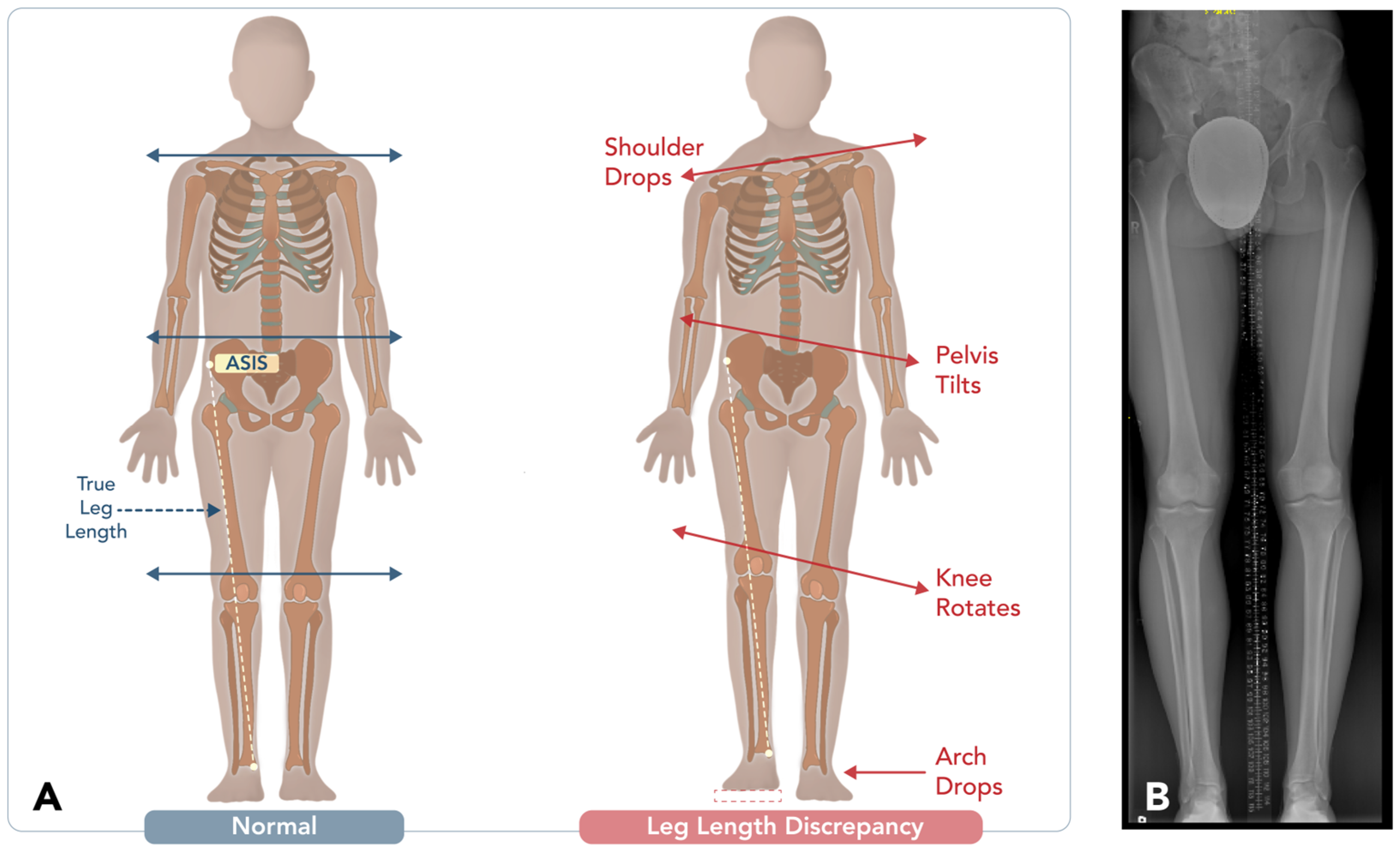 Diagnostics 15 01184 g002 Diagnostics 15 01184 g002