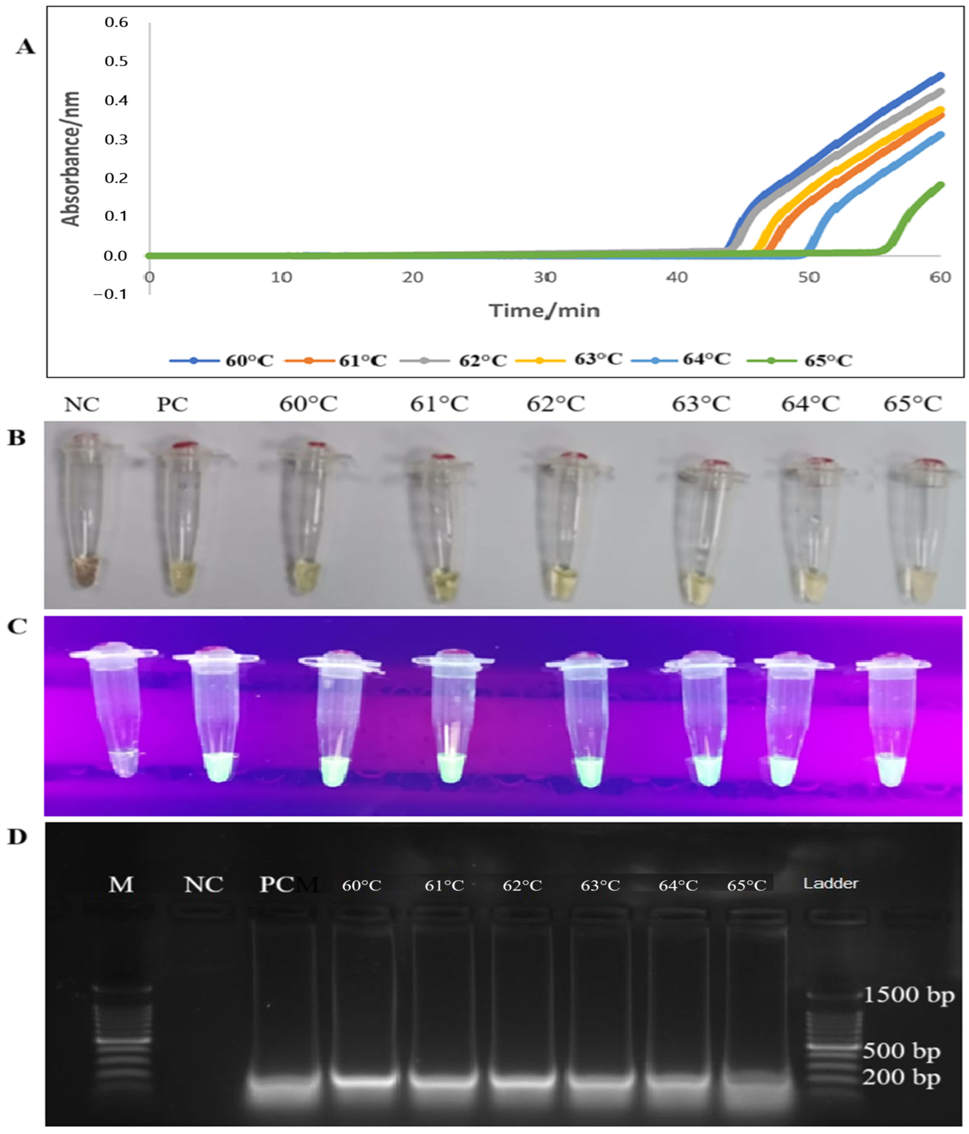 Diagnostics 15 01213 g002