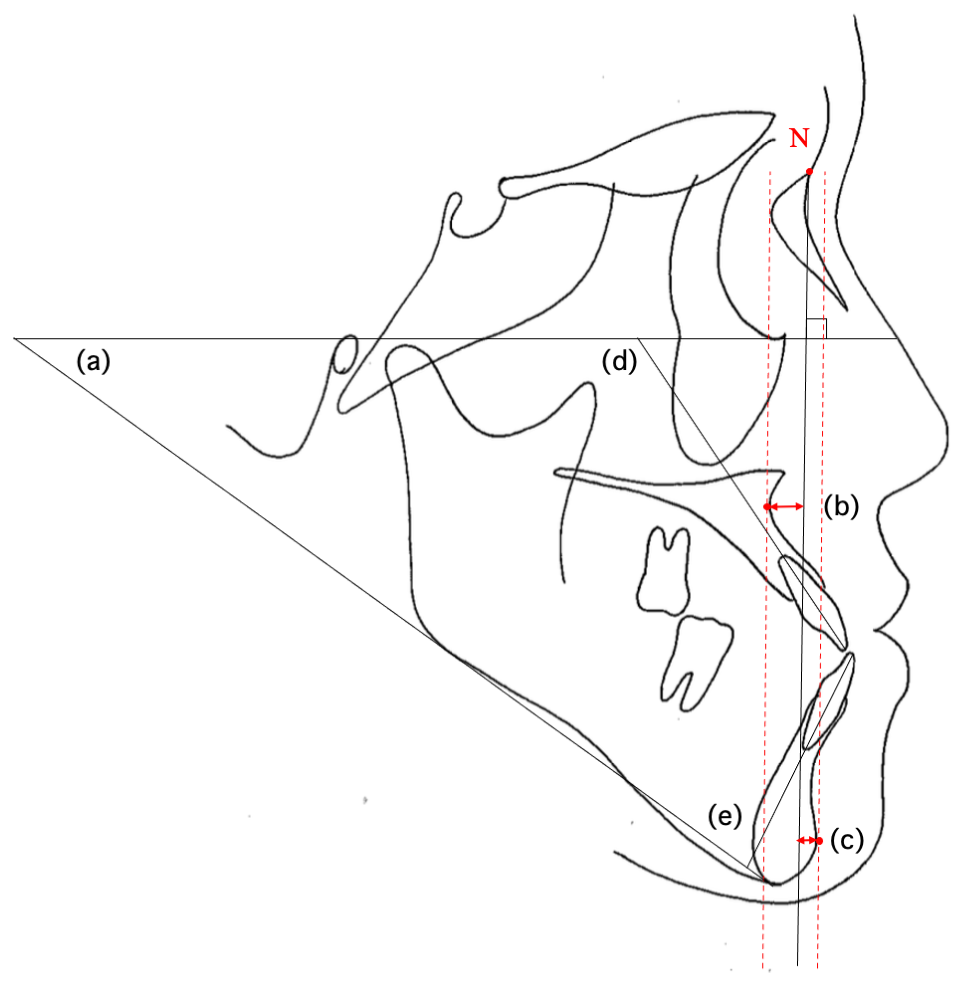 Diagnostics 15 01553 g001
