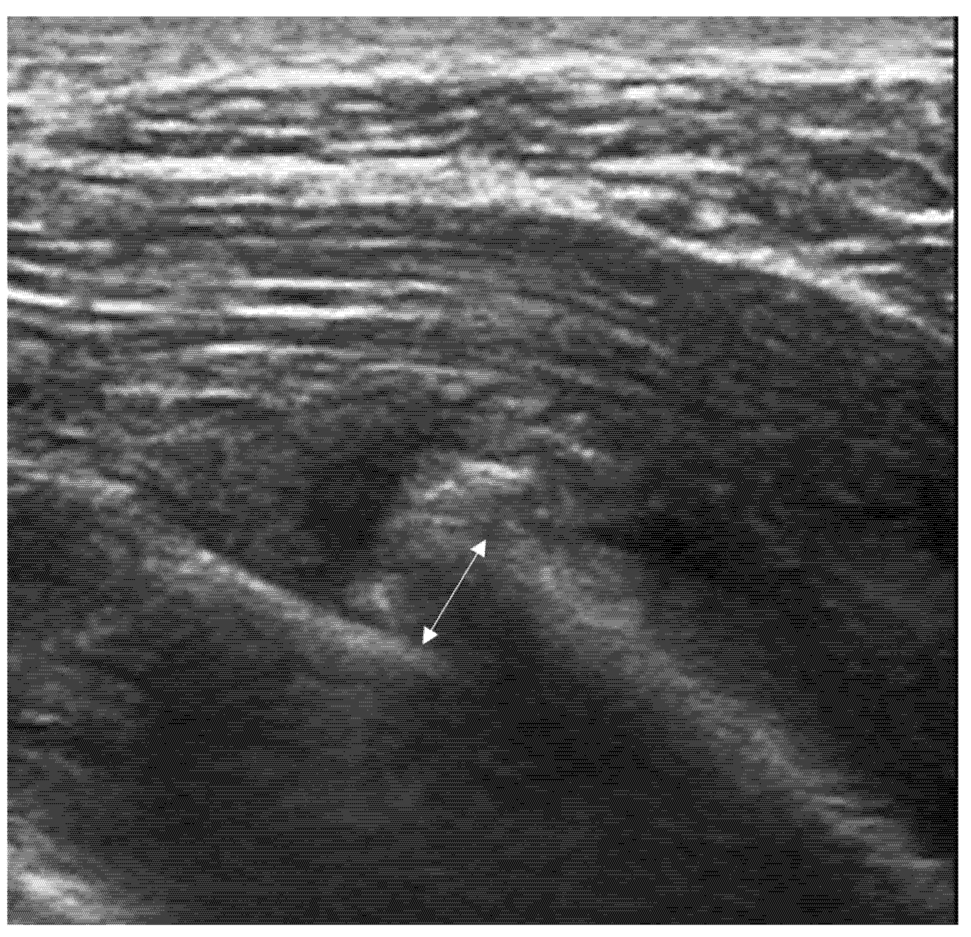 Diagnostics 15 01827 g007 Diagnostics 15 01827 g007