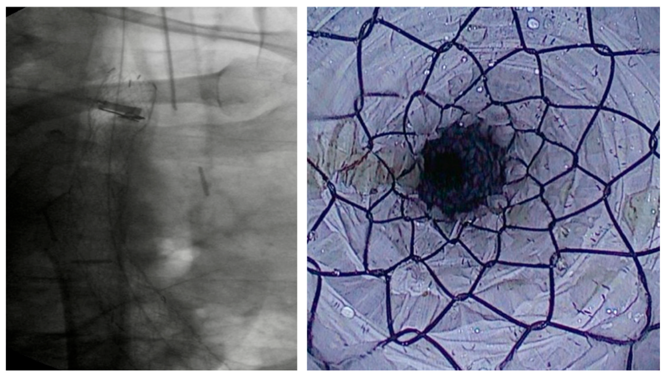 Diagnostics 15 02344 g001 Diagnostics 15 02344 g001