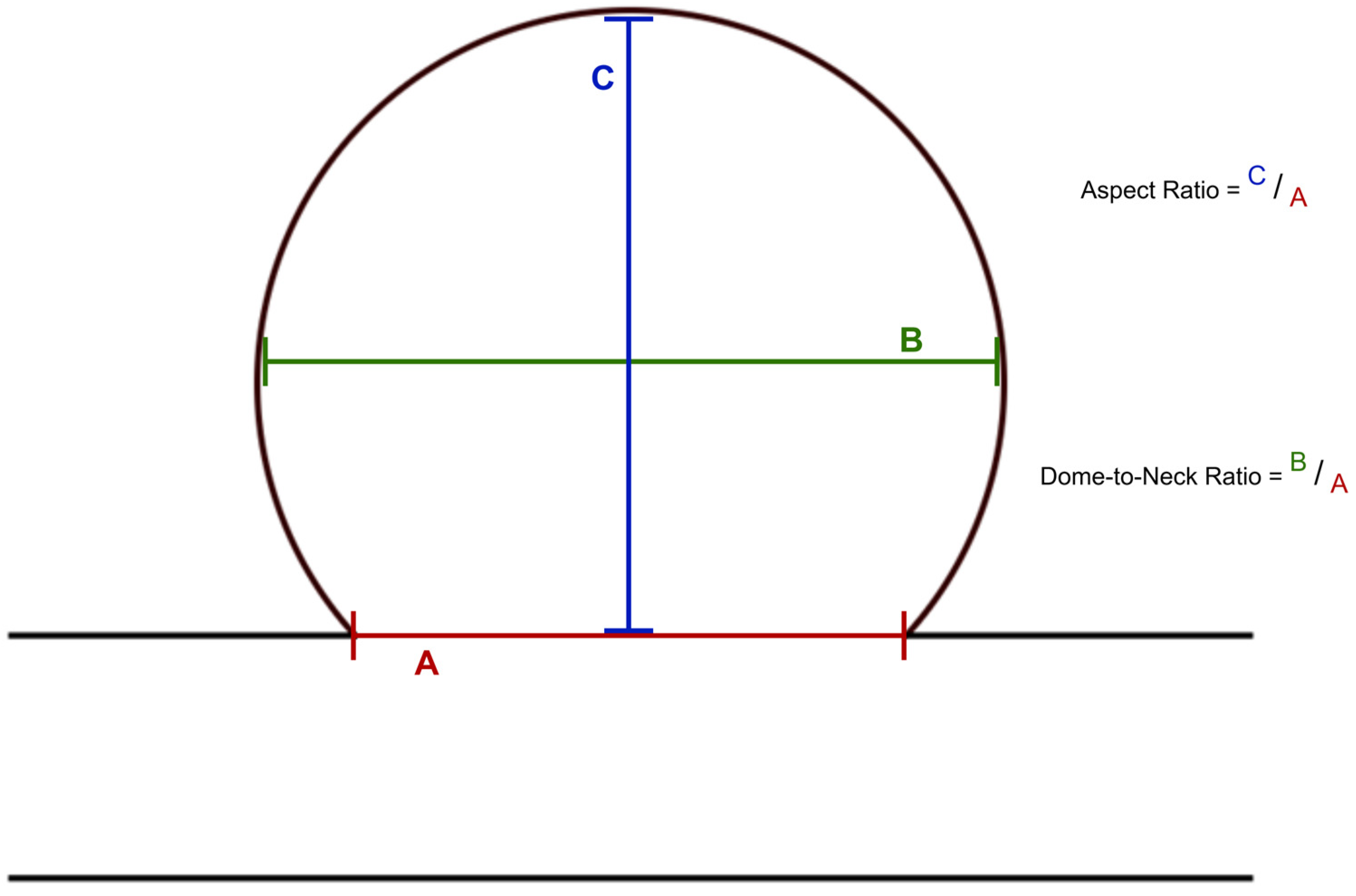 Diagnostics 15 02365 g002 Diagnostics 15 02365 g002