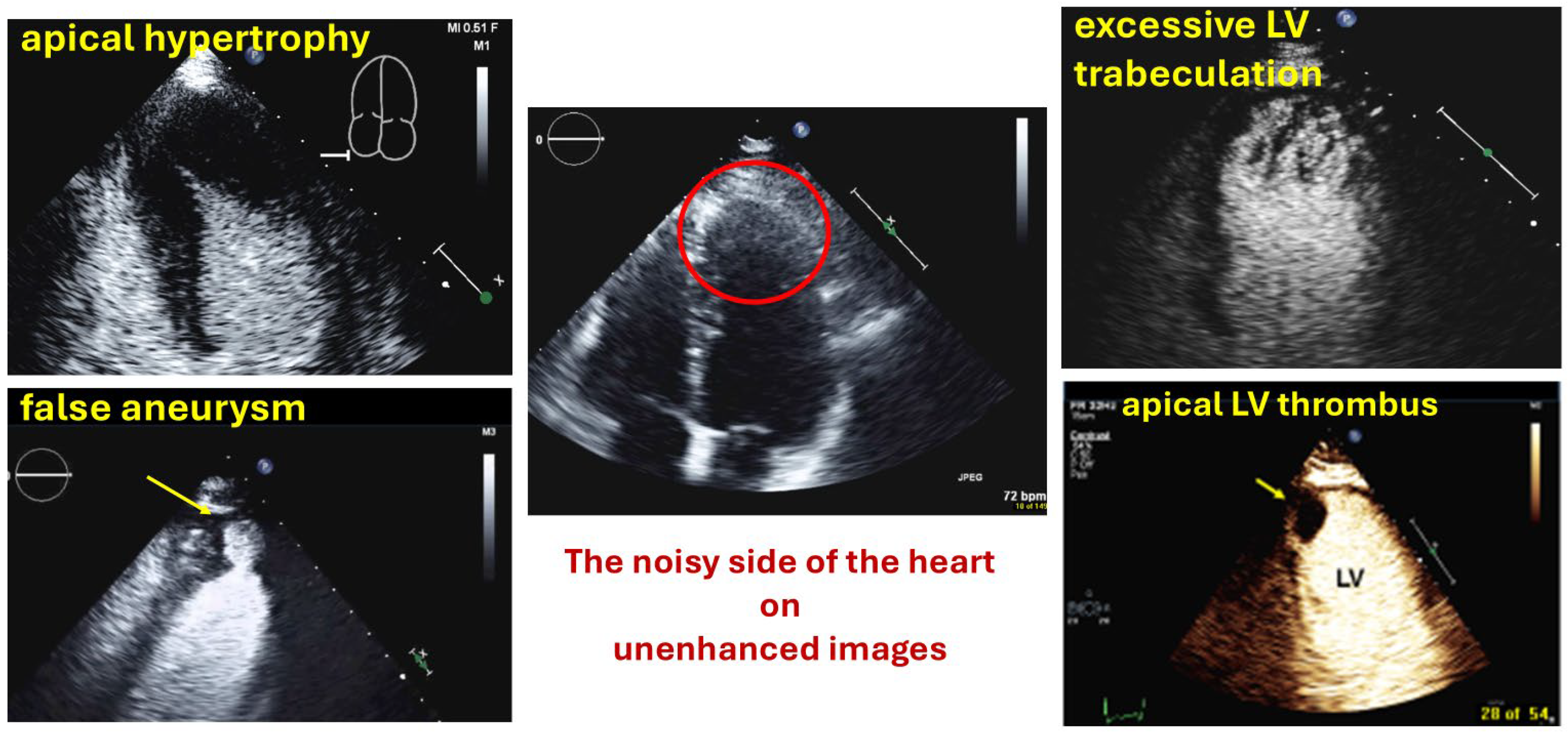 Diagnostics 15 02371 g001 Diagnostics 15 02371 g001