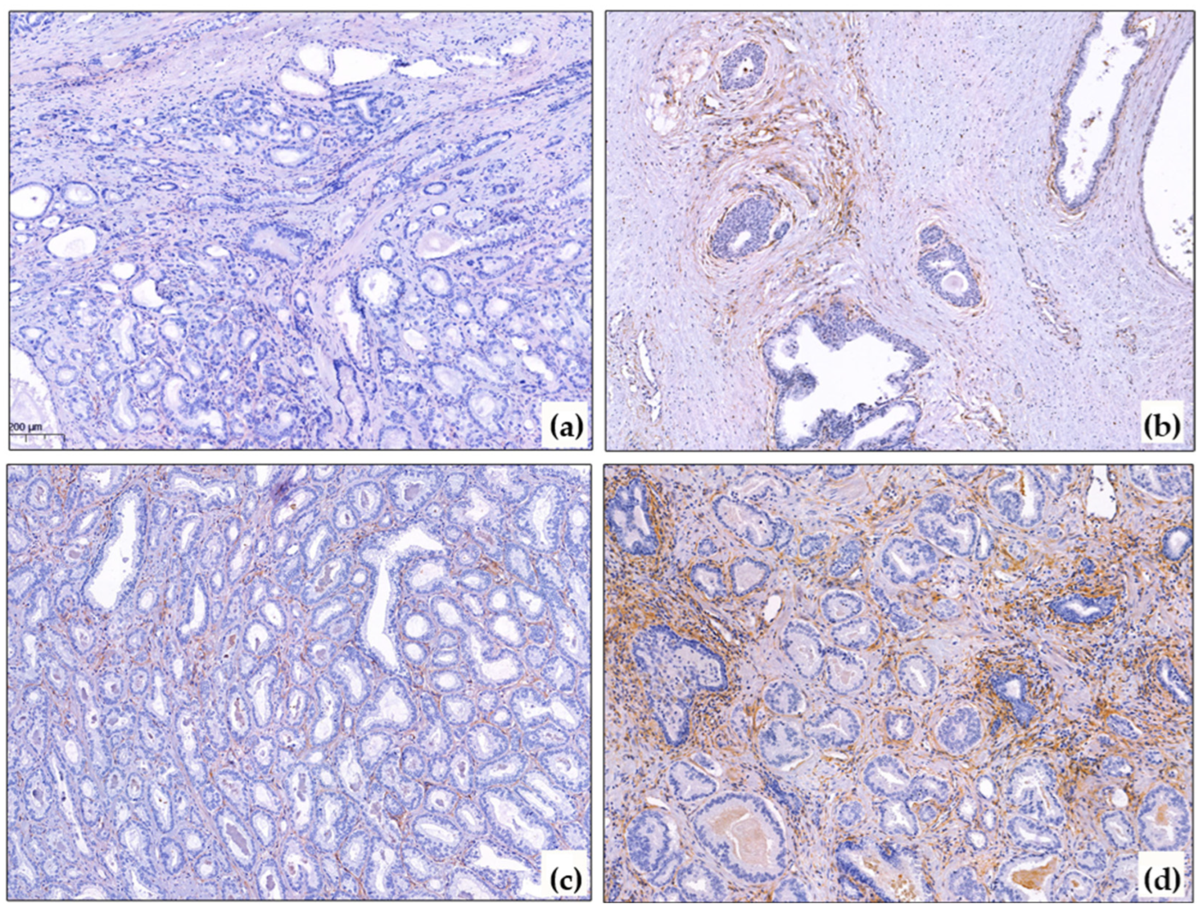Diagnostics 15 02434 g001 Diagnostics 15 02434 g001