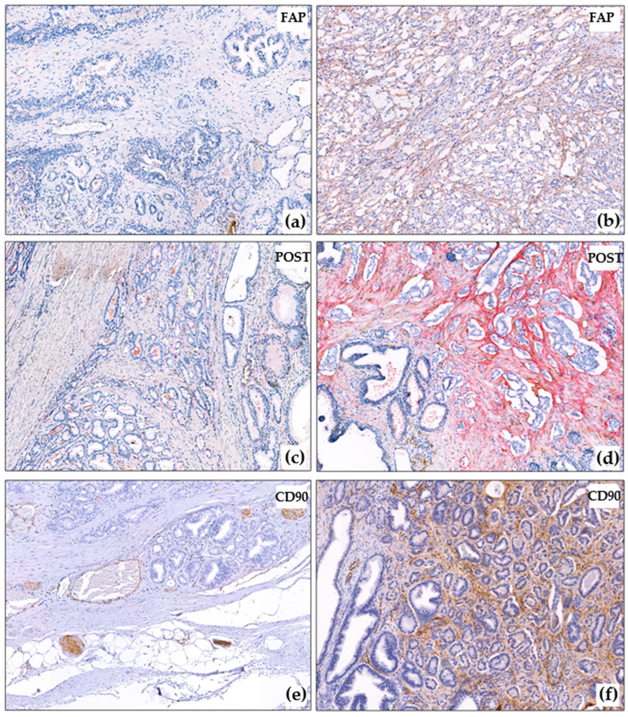 Diagnostics 15 02434 g002 Diagnostics 15 02434 g002