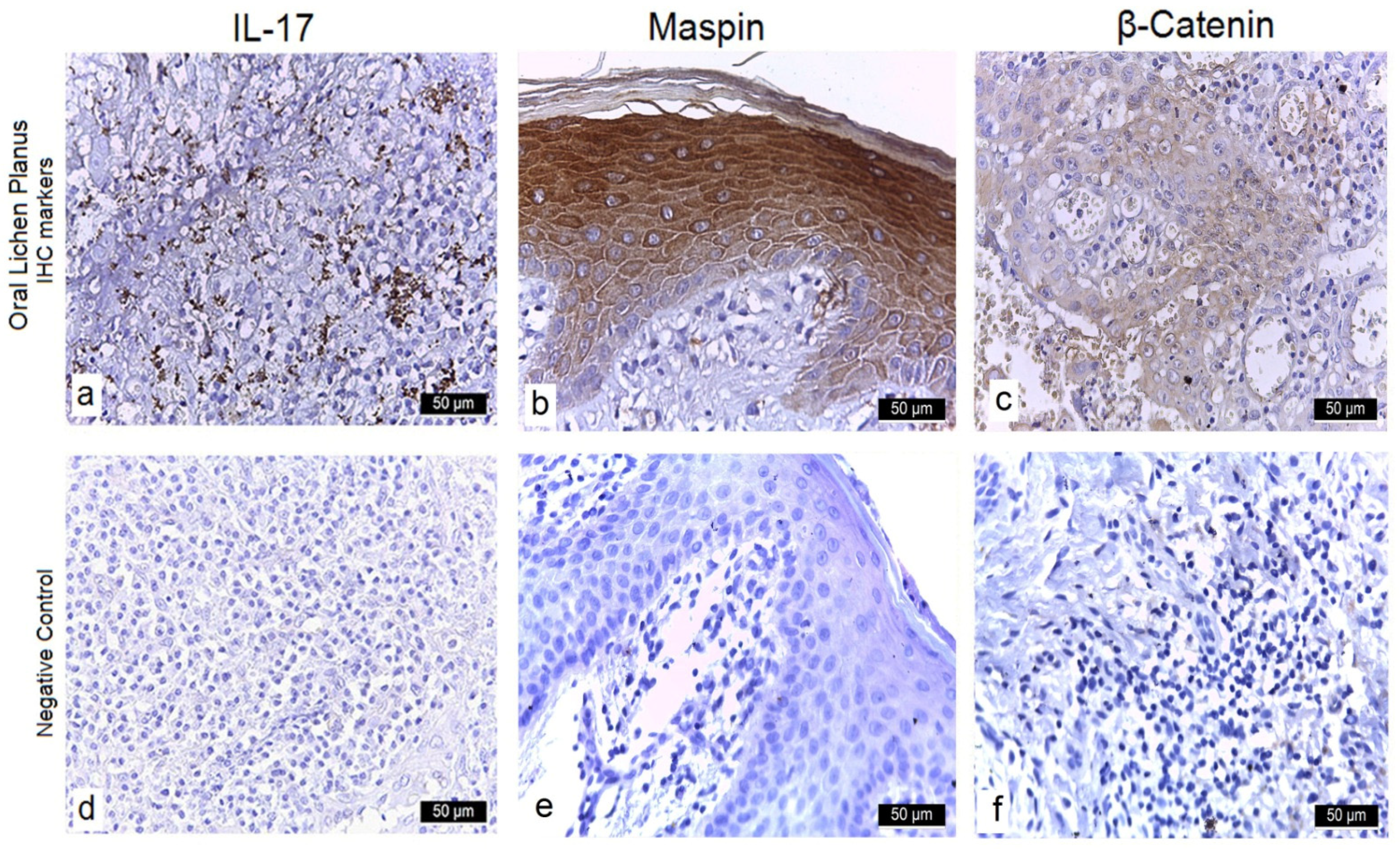 Diagnostics 15 02443 g001 Diagnostics 15 02443 g001