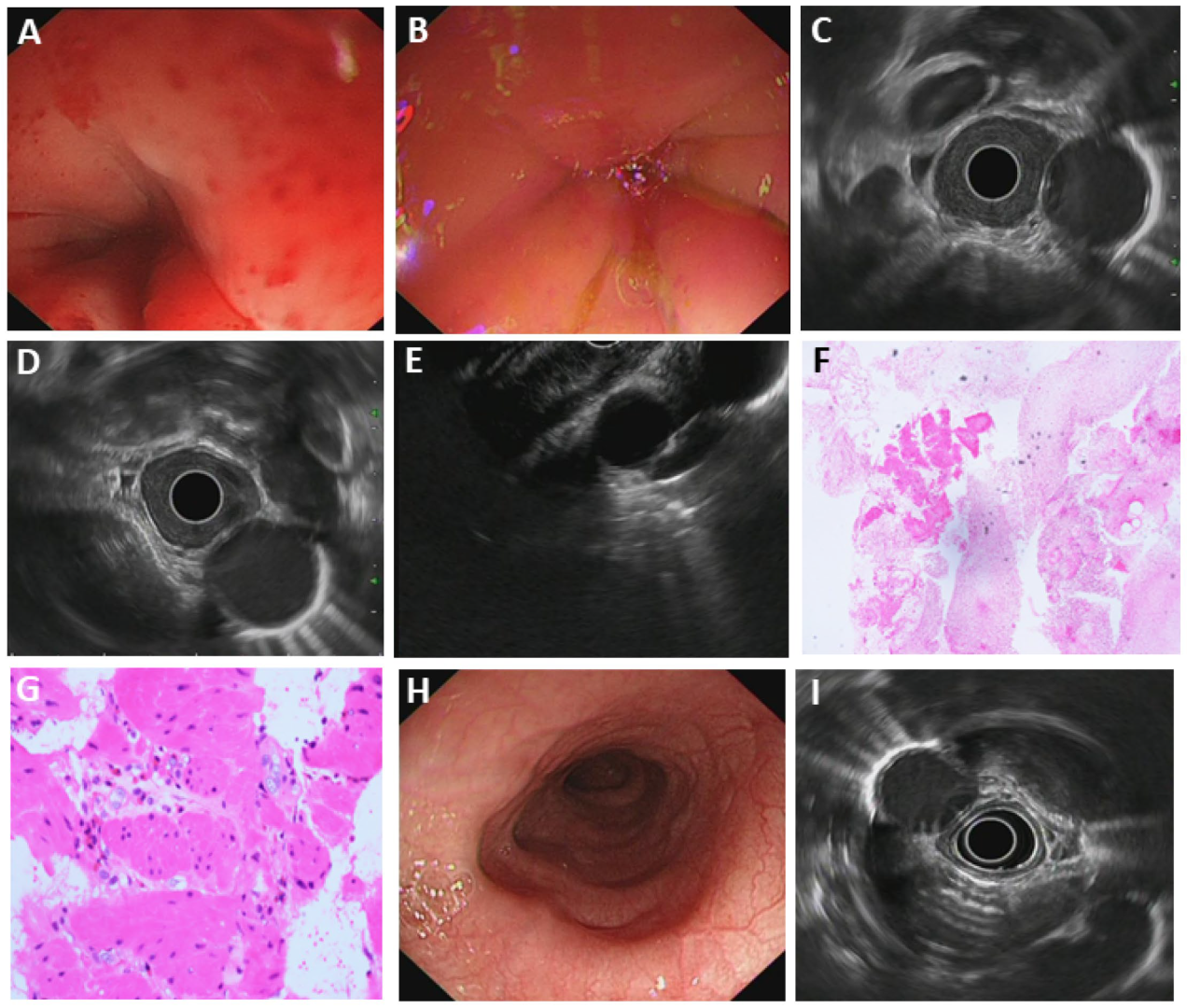 Diagnostics 15 02470 g003 Diagnostics 15 02470 g003