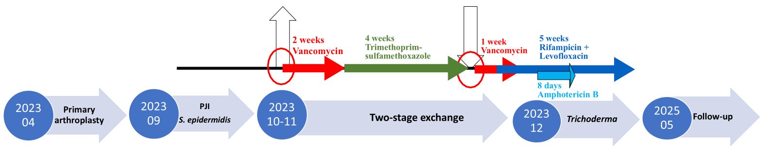 Diagnostics 15 02575 g001 Diagnostics 15 02575 g001