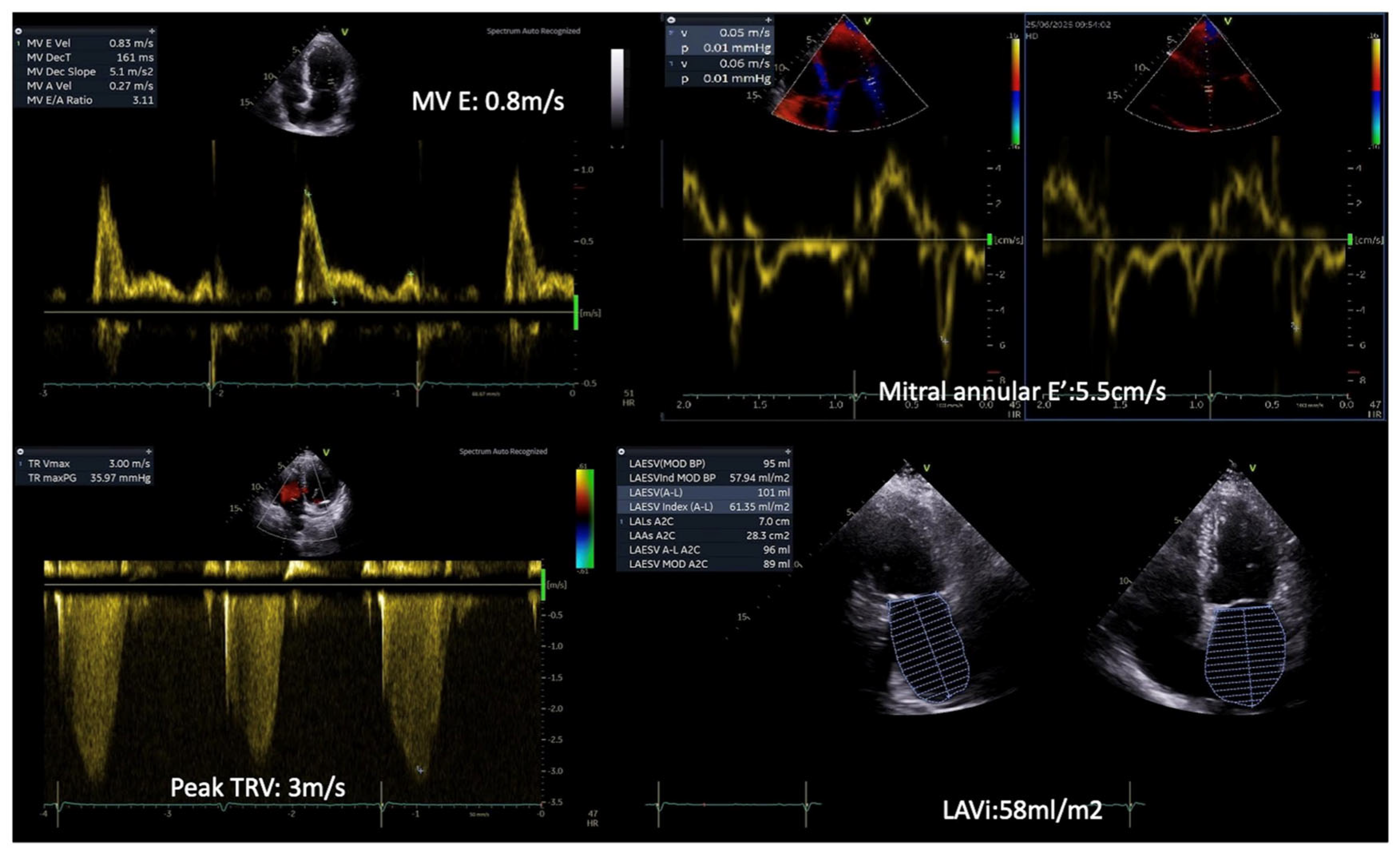 Diagnostics 15 02587 g001 Diagnostics 15 02587 g001