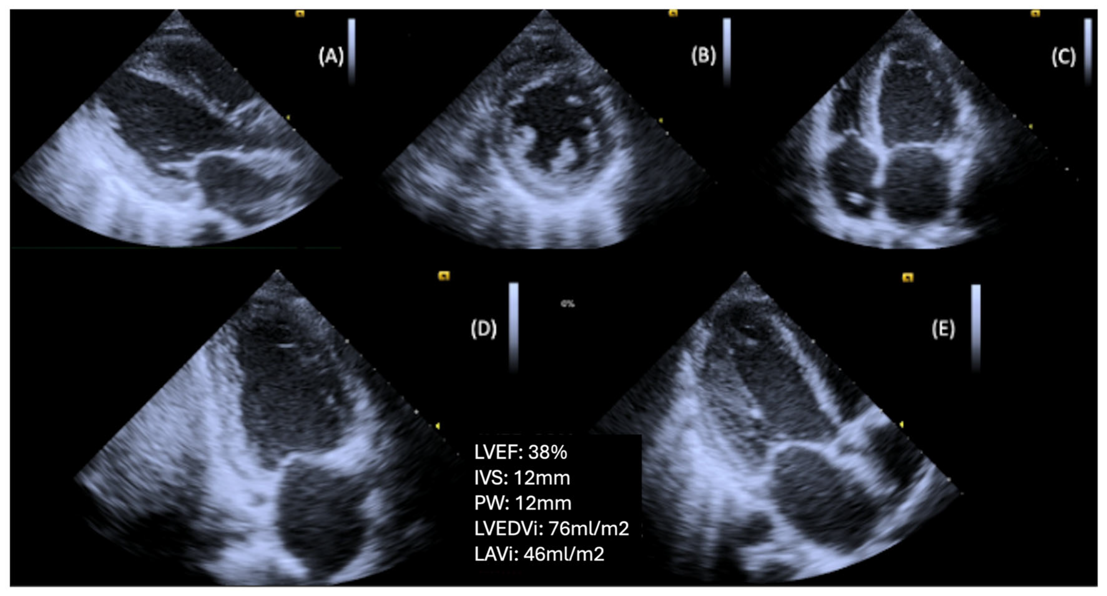 Diagnostics 15 02587 g002 Diagnostics 15 02587 g002