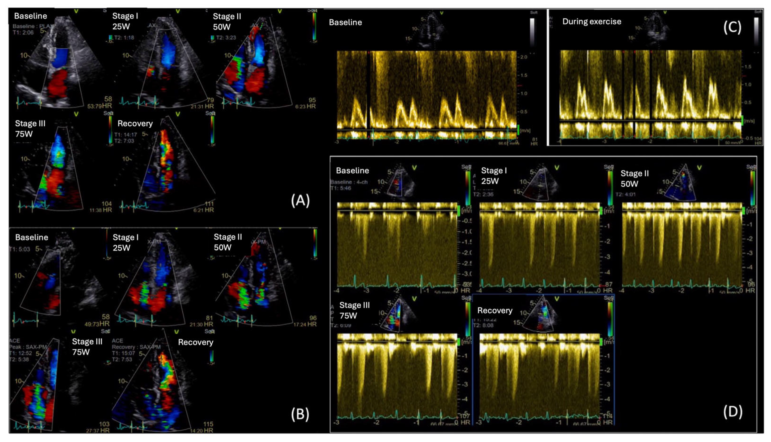 Diagnostics 15 02587 g006 Diagnostics 15 02587 g006